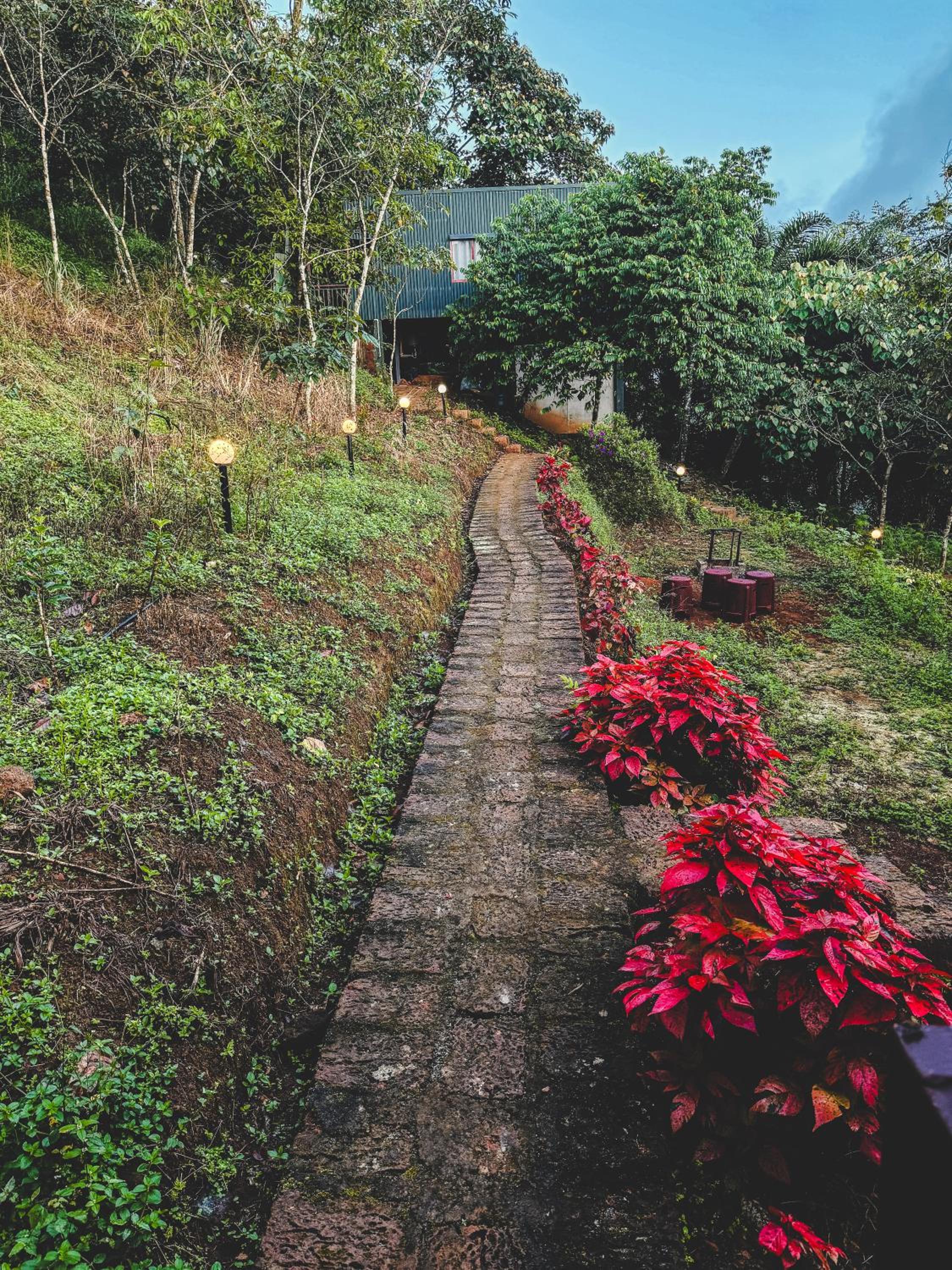 Woodshade Resort