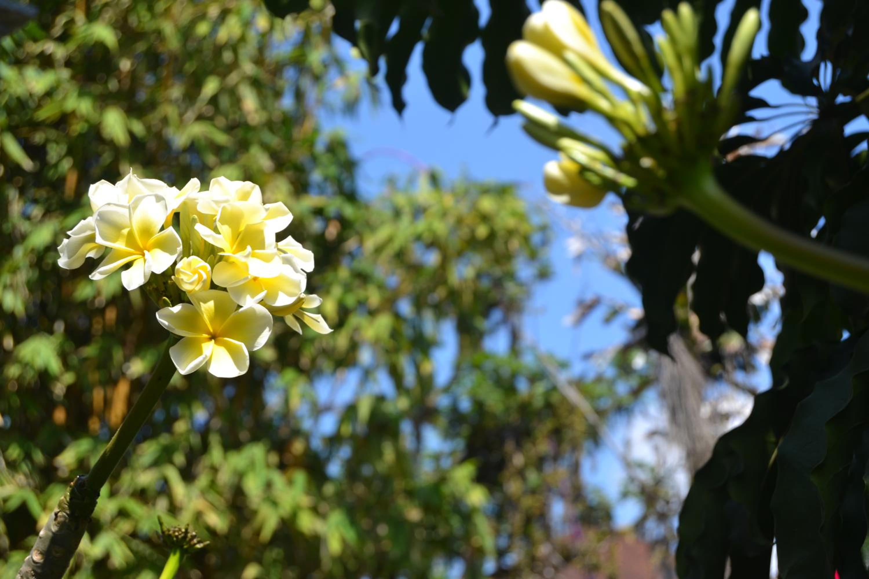 Photo 40