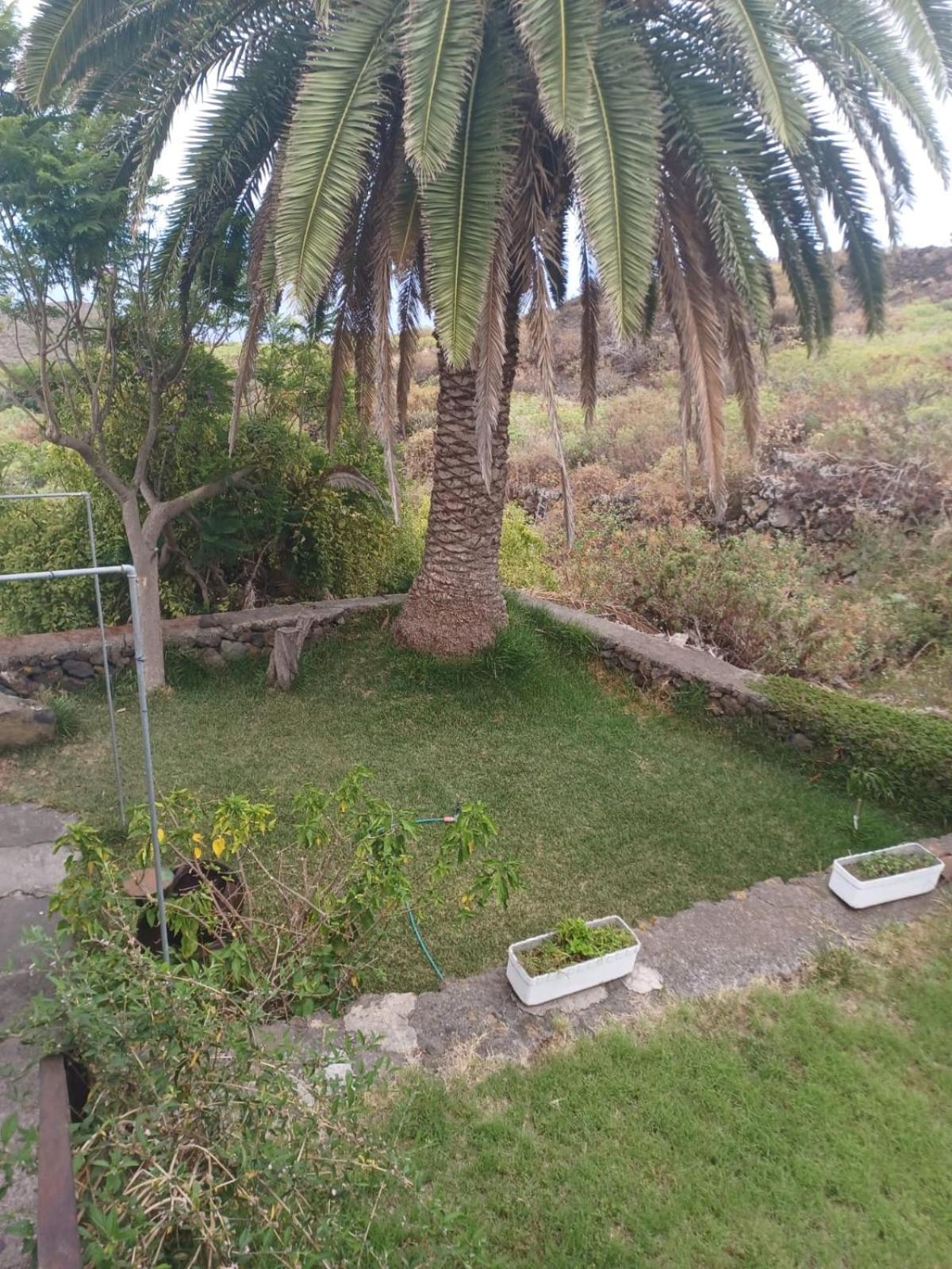 Photo 35