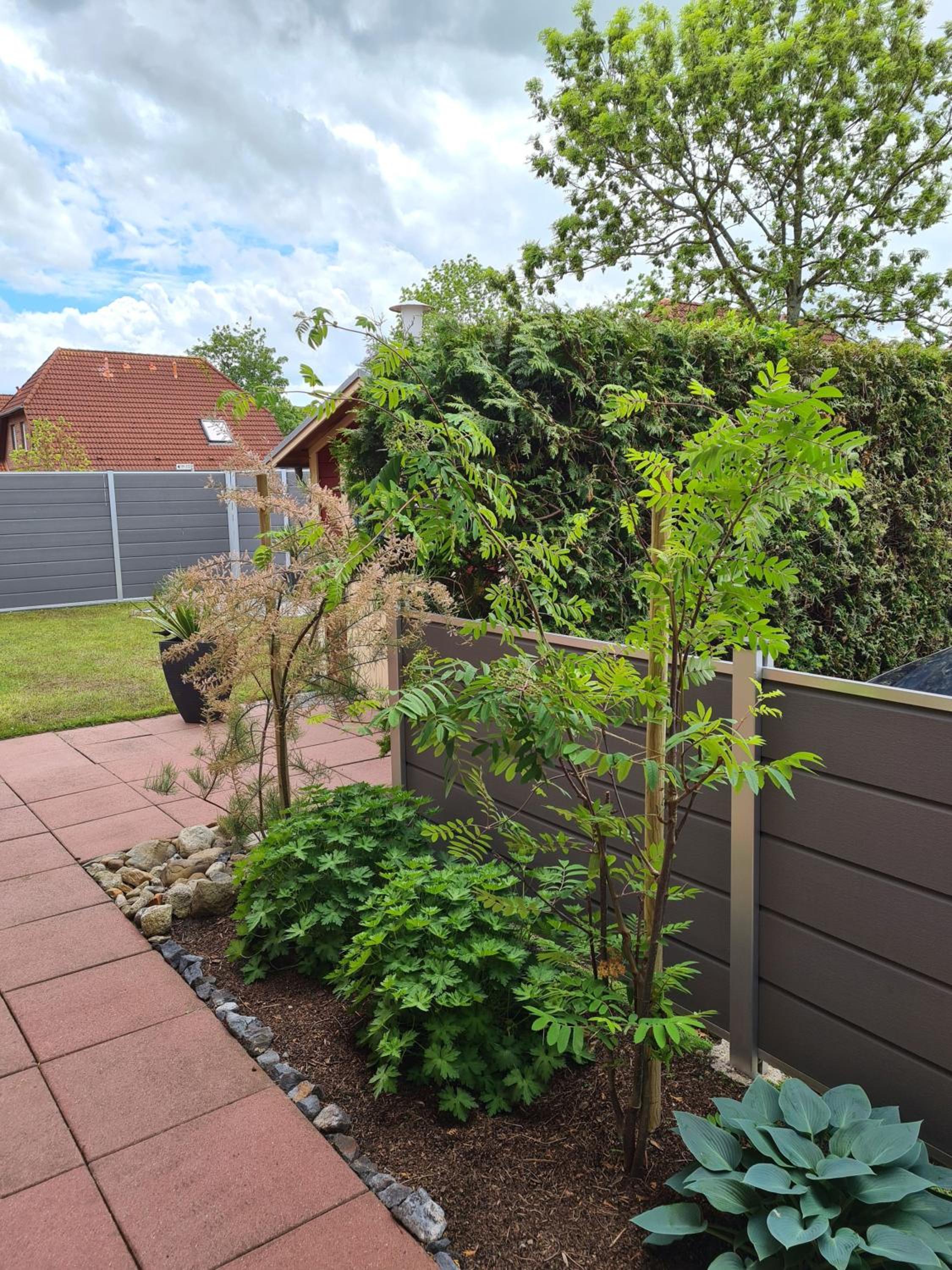 Haus Wasser oder Watt - Hooksiel