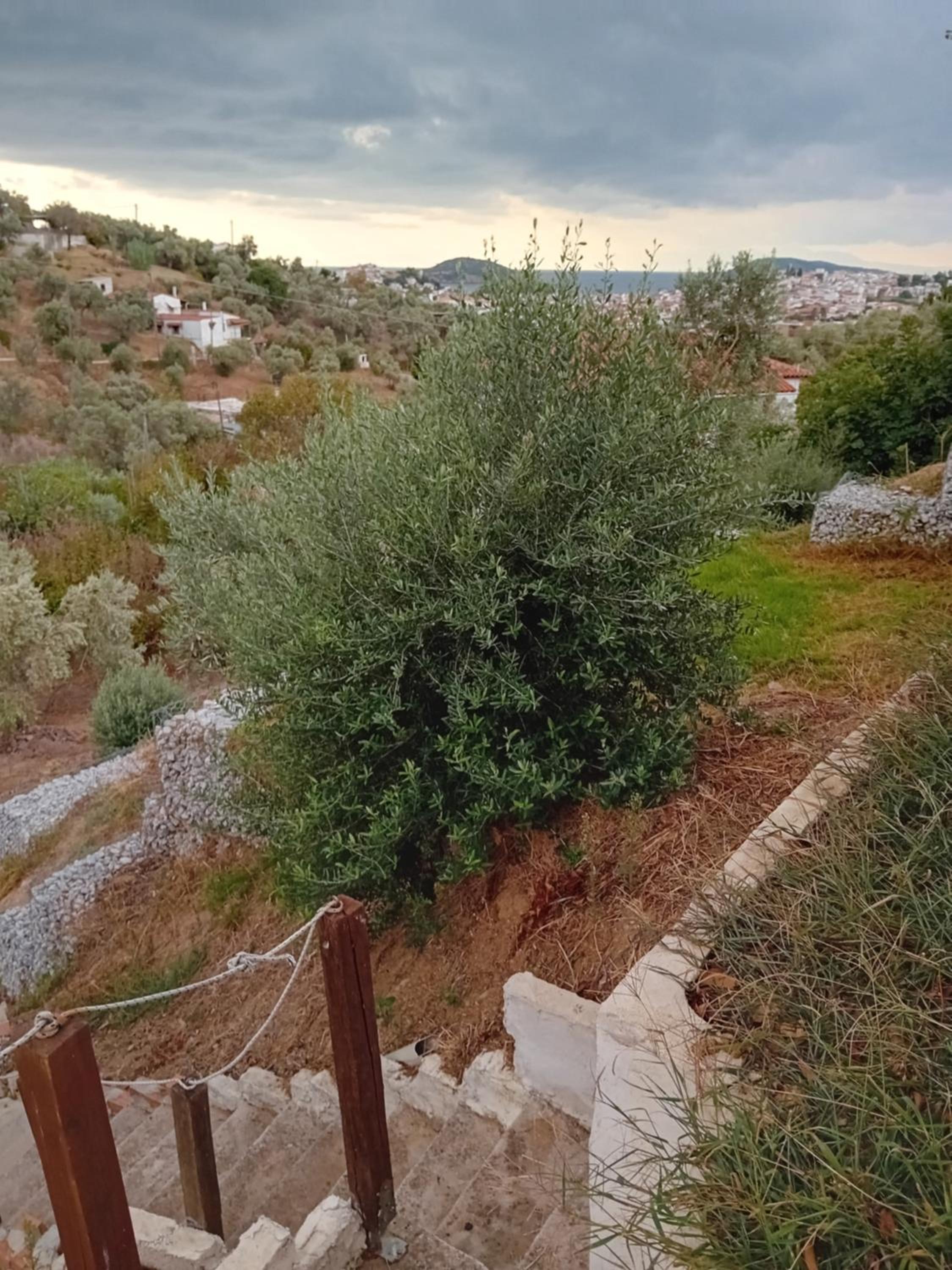 Villa Krini photo 2