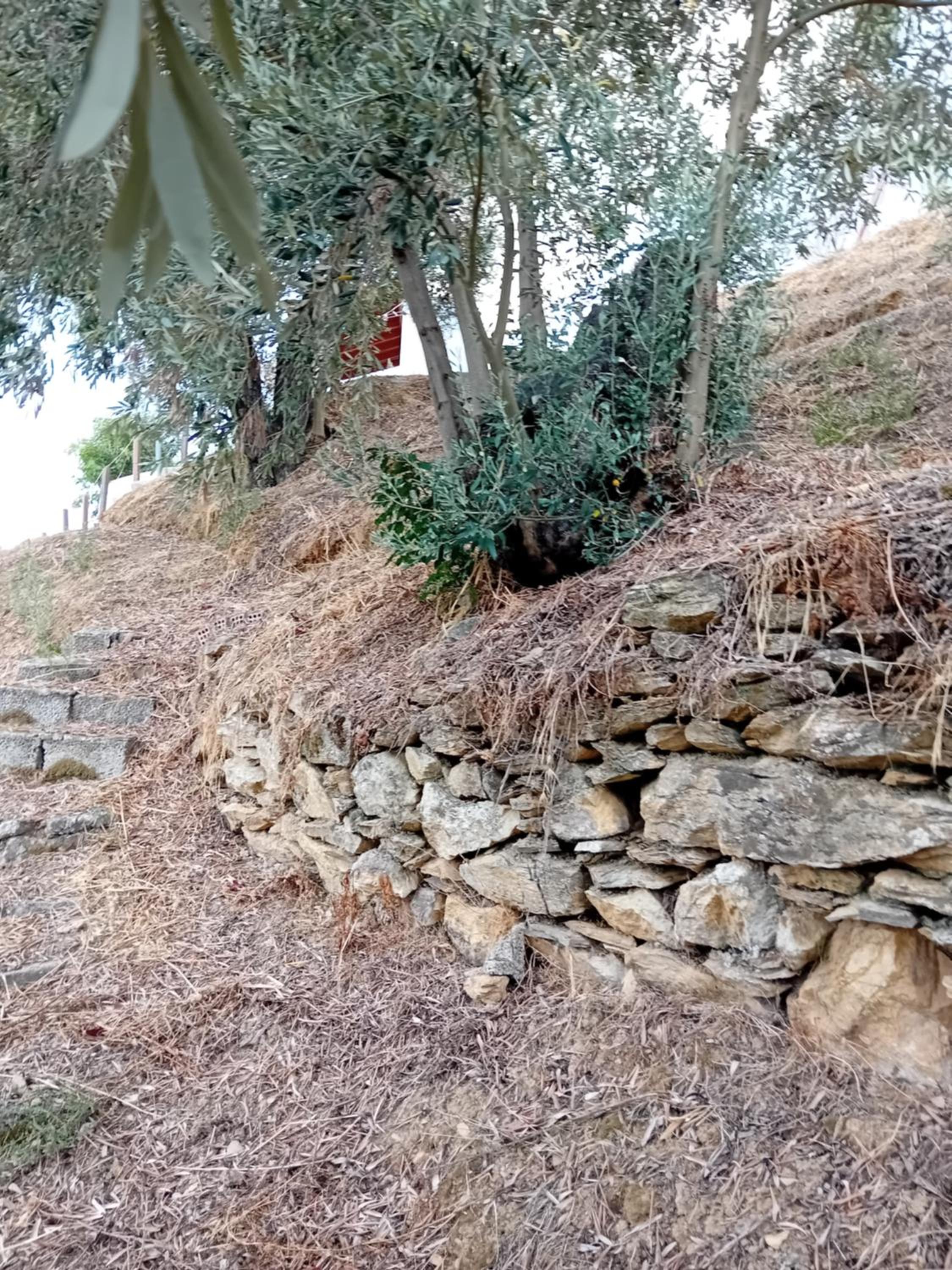 Villa Krini photo 3