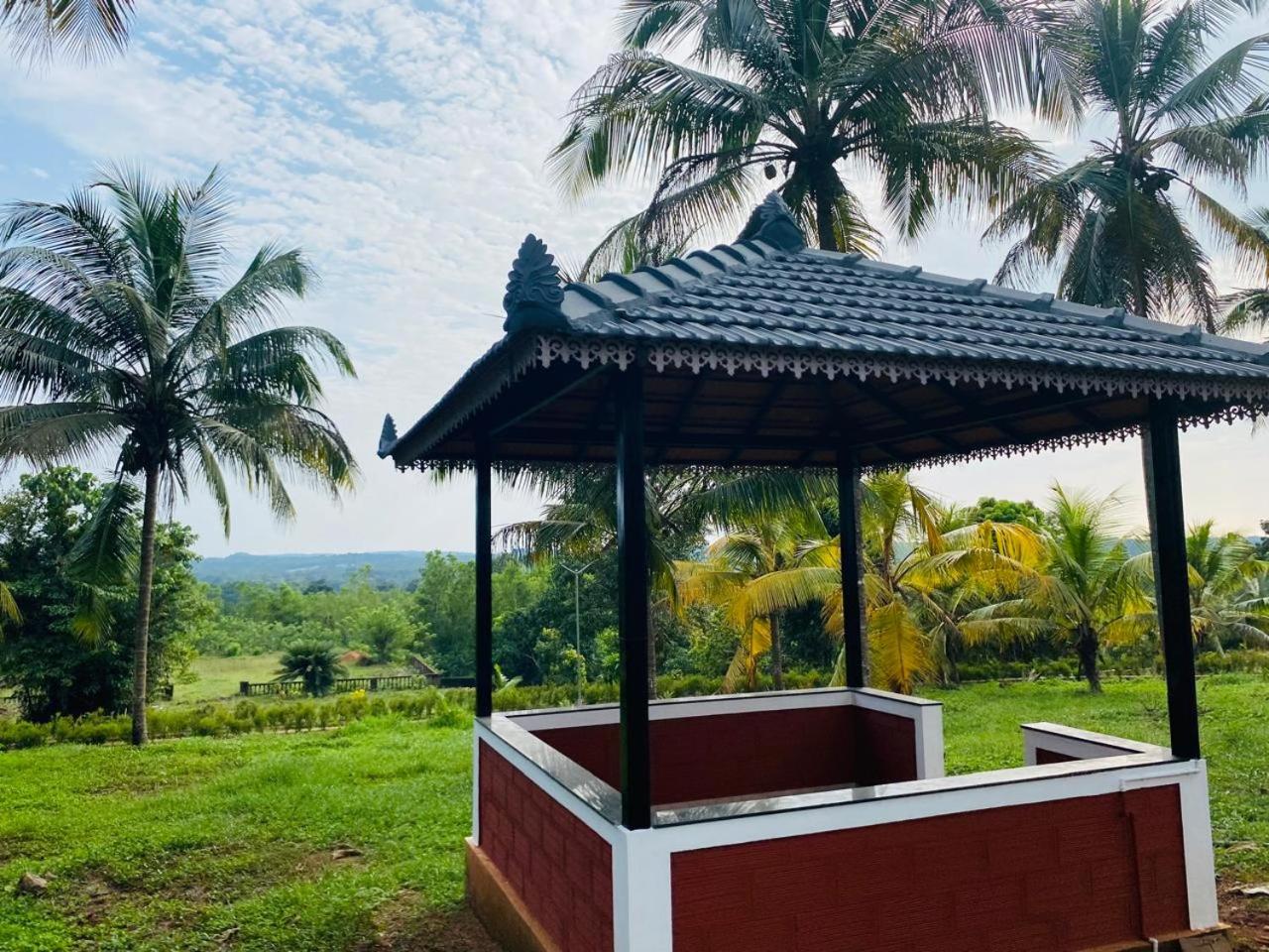 Swarna Green Valley Resort view 5