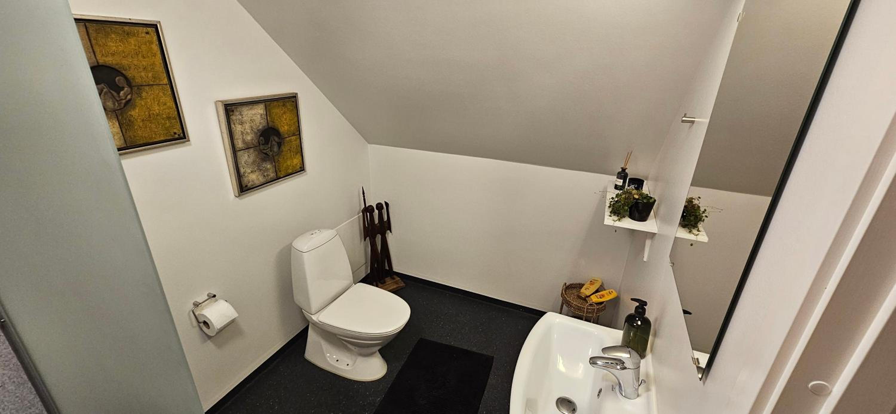 Photo 41