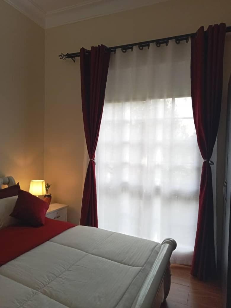 Torex apartments