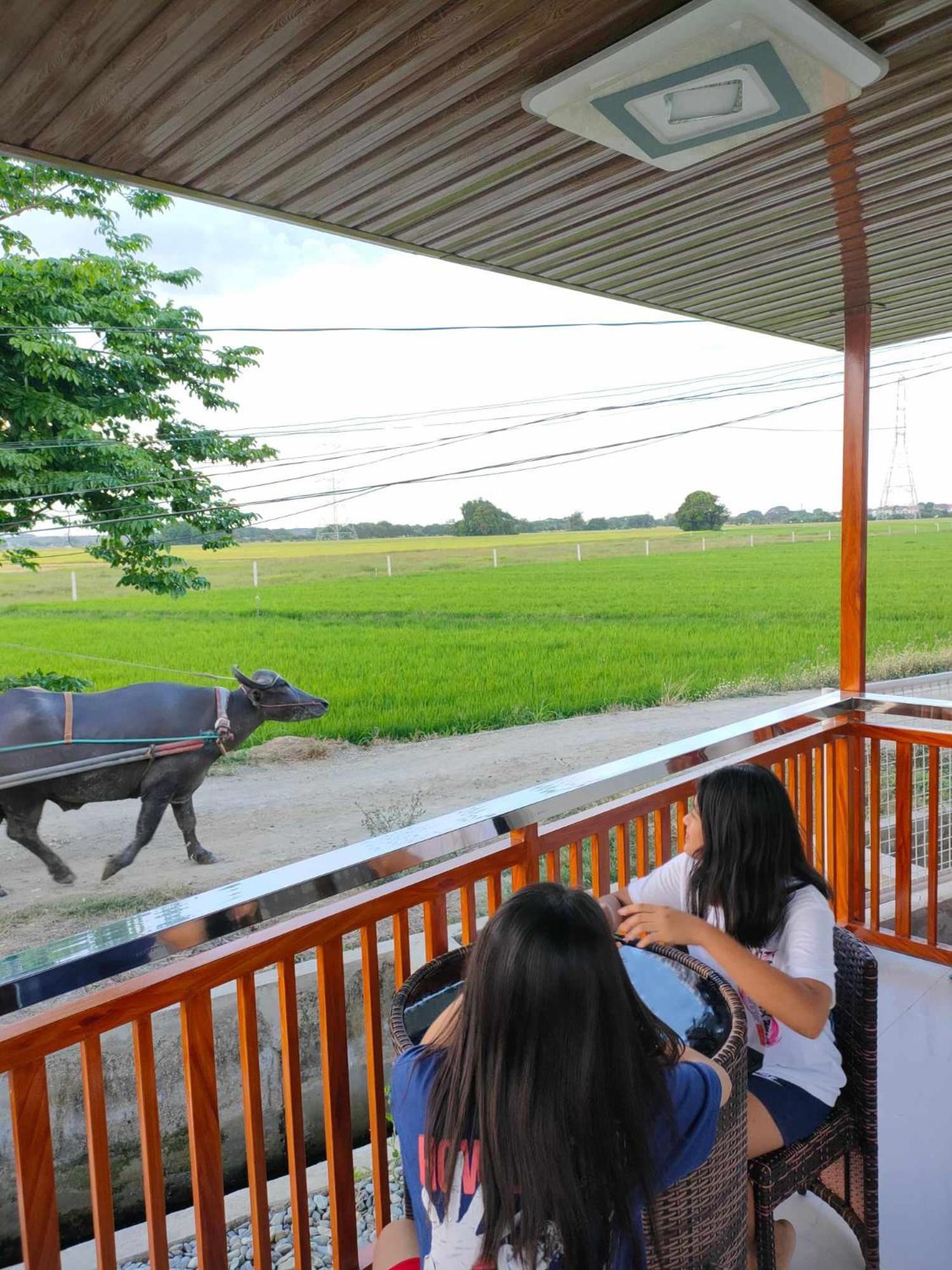 Praise Farmhouse - Private Farmhouse Staycation view 2