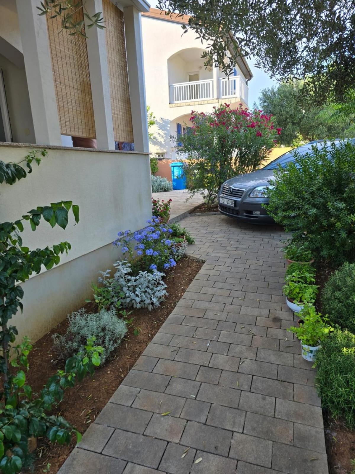 Apartment Ruzica