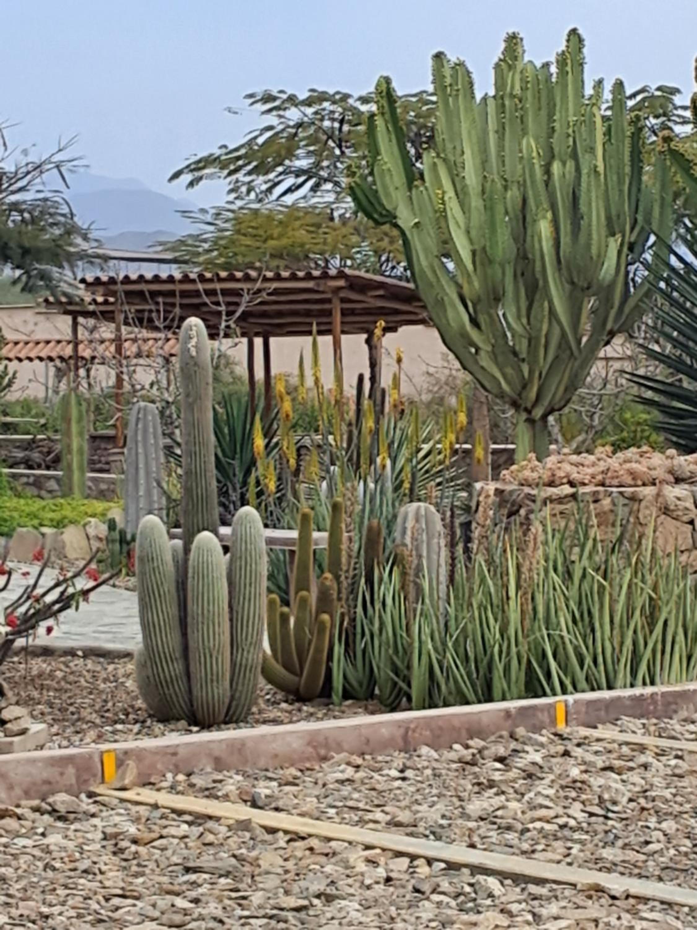 Casa Club El Pueblo Simbal