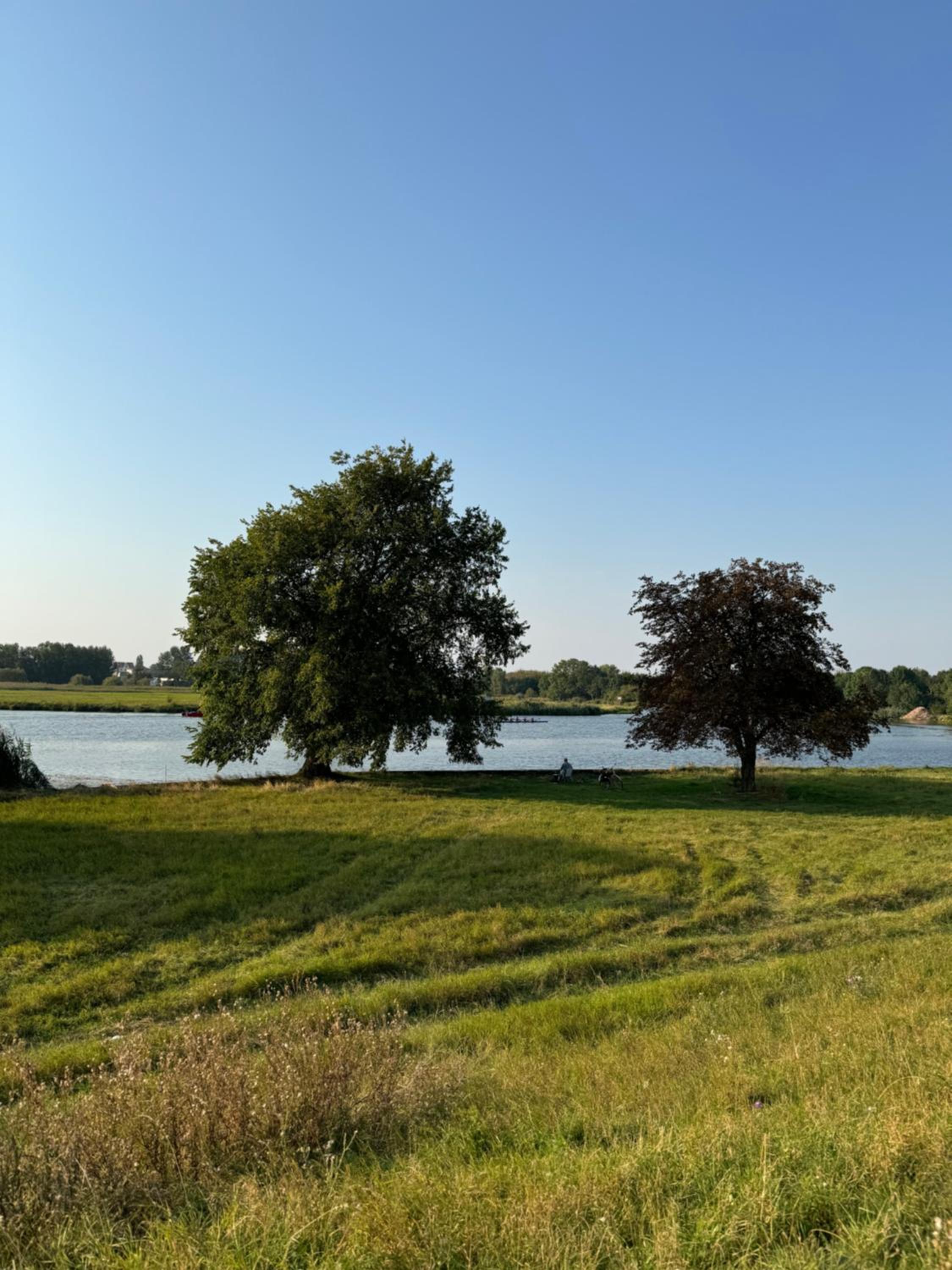 Hübscher Wohnen-Geräumige Ferienwohnung im Gutshaus nahe Saale und Elbe