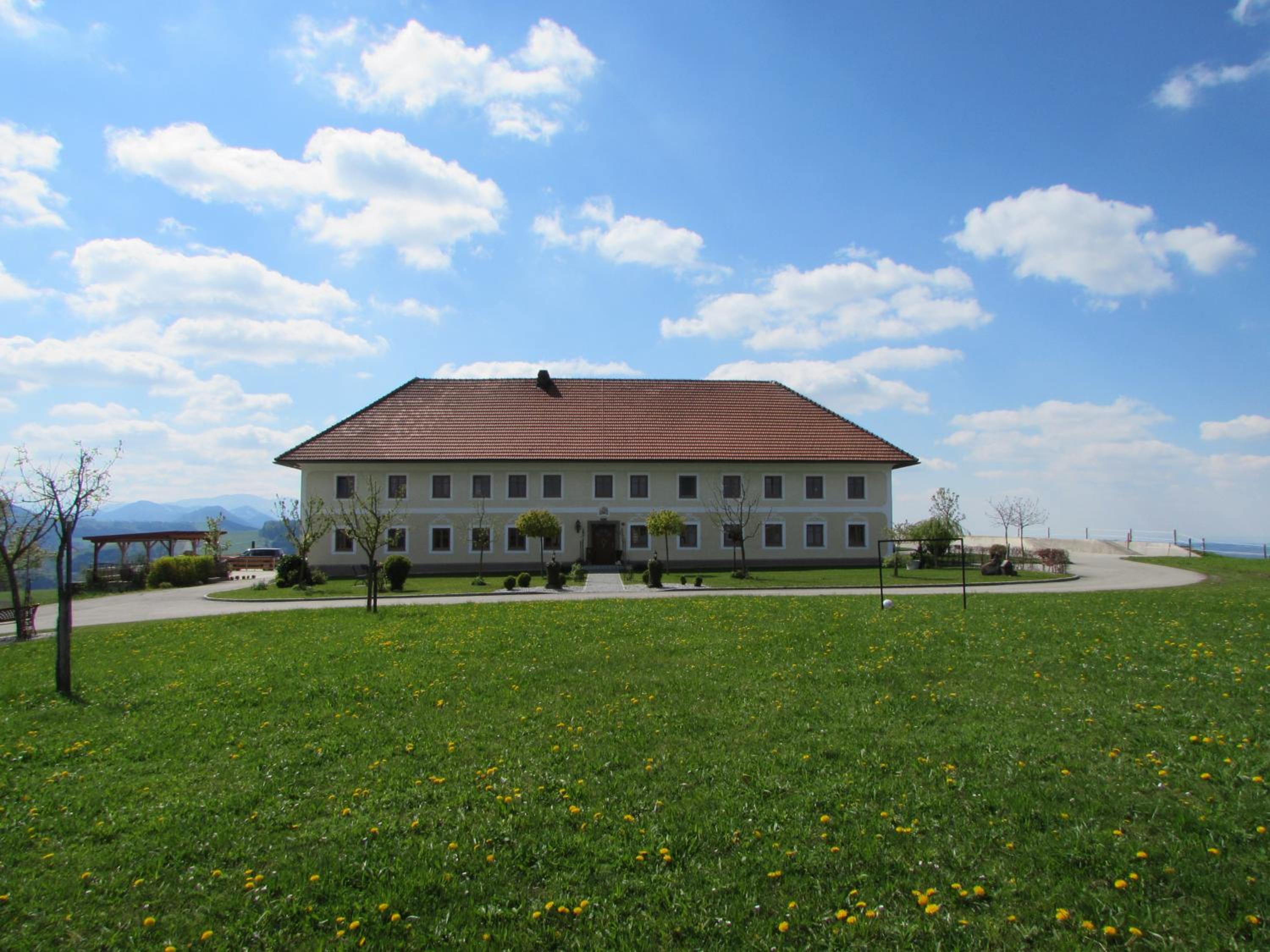 Photo 20