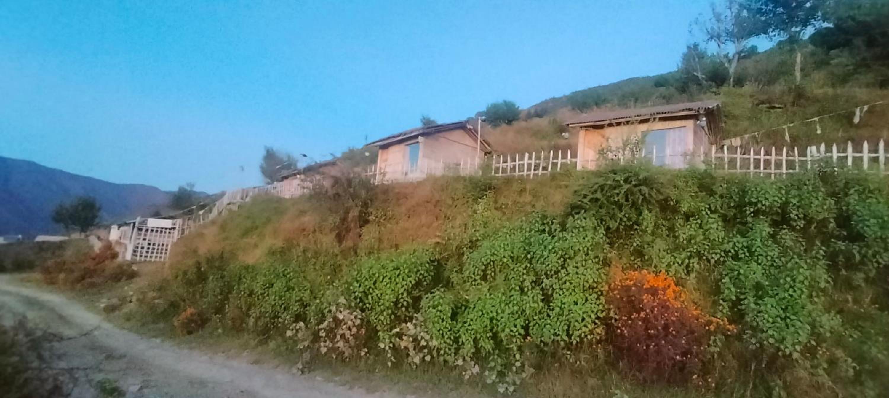Photo 10