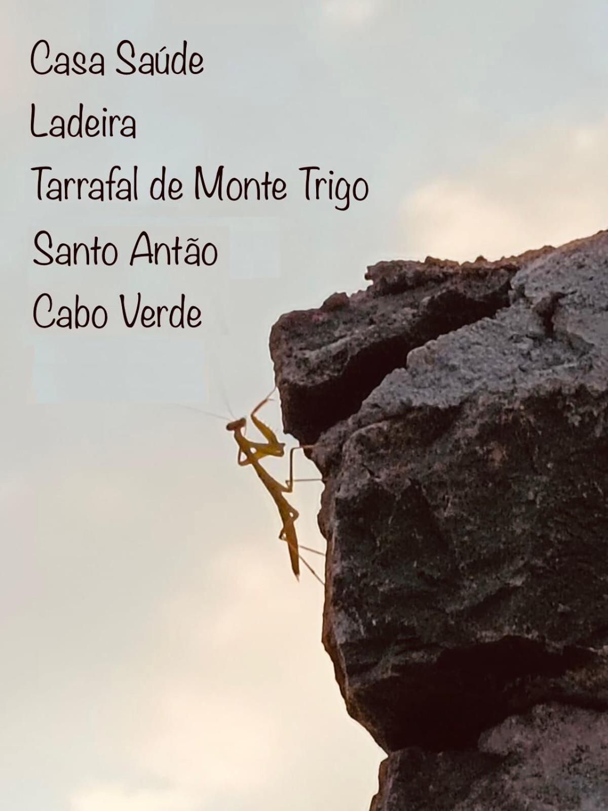 Casa Saúde