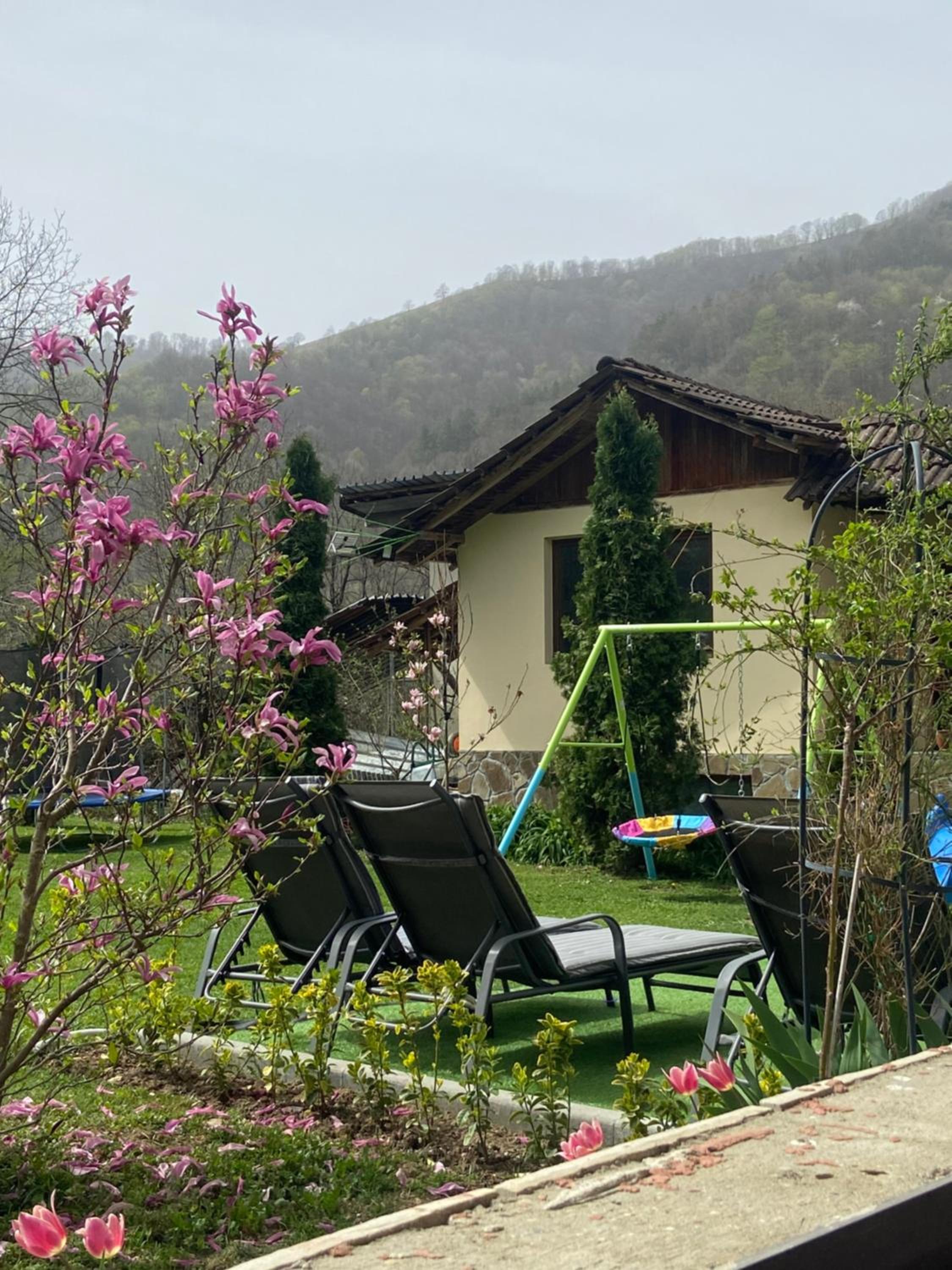Guest House Rest