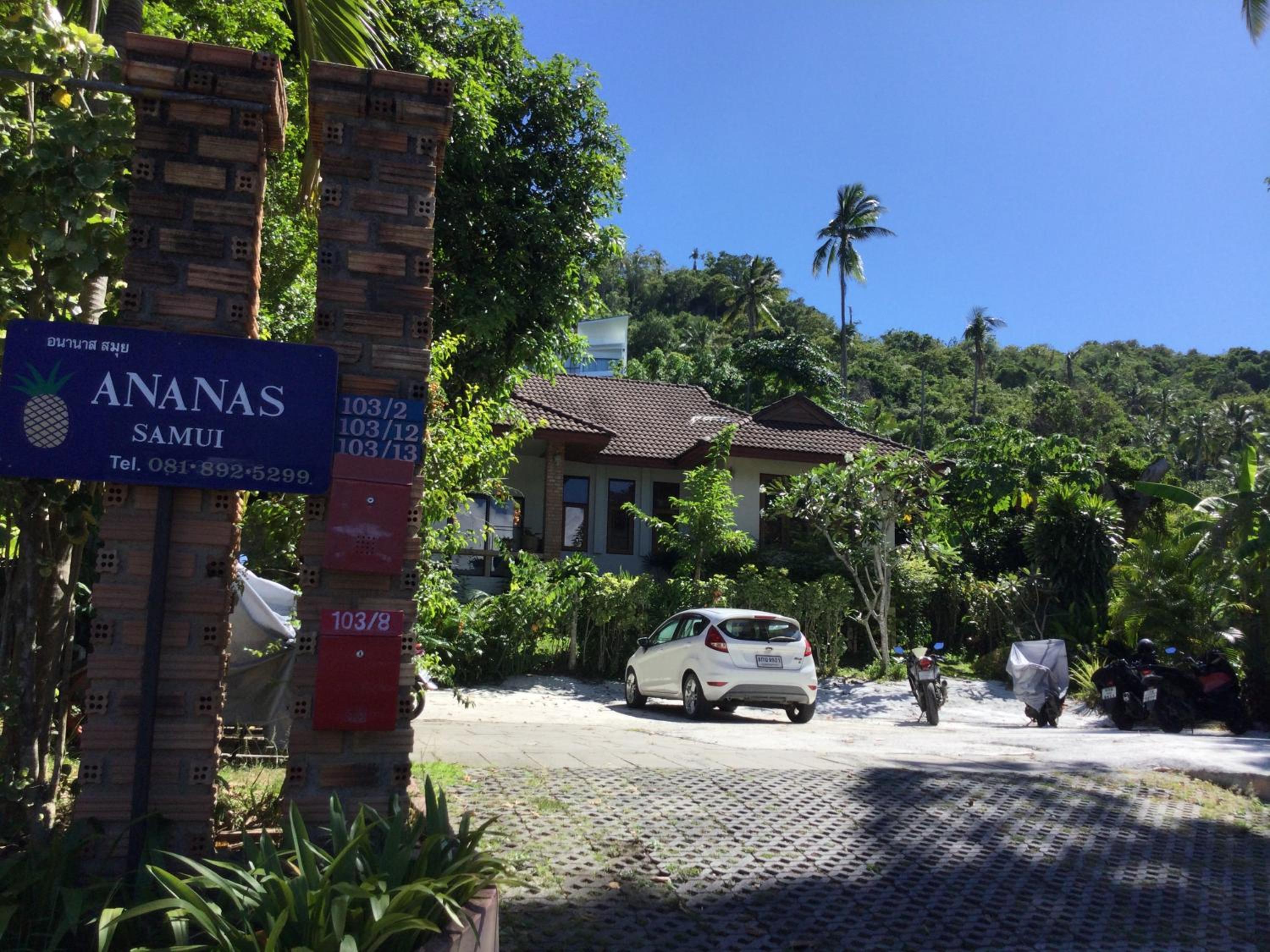 Ananas Samui Hostel