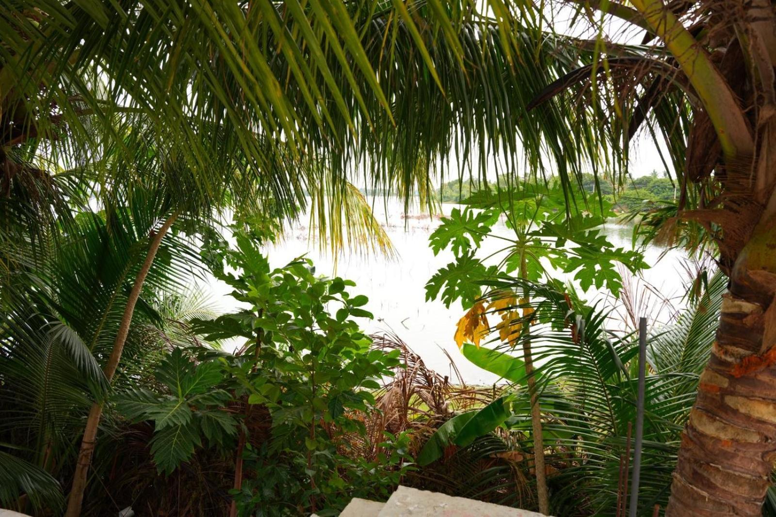 Lake Holiday House view 5