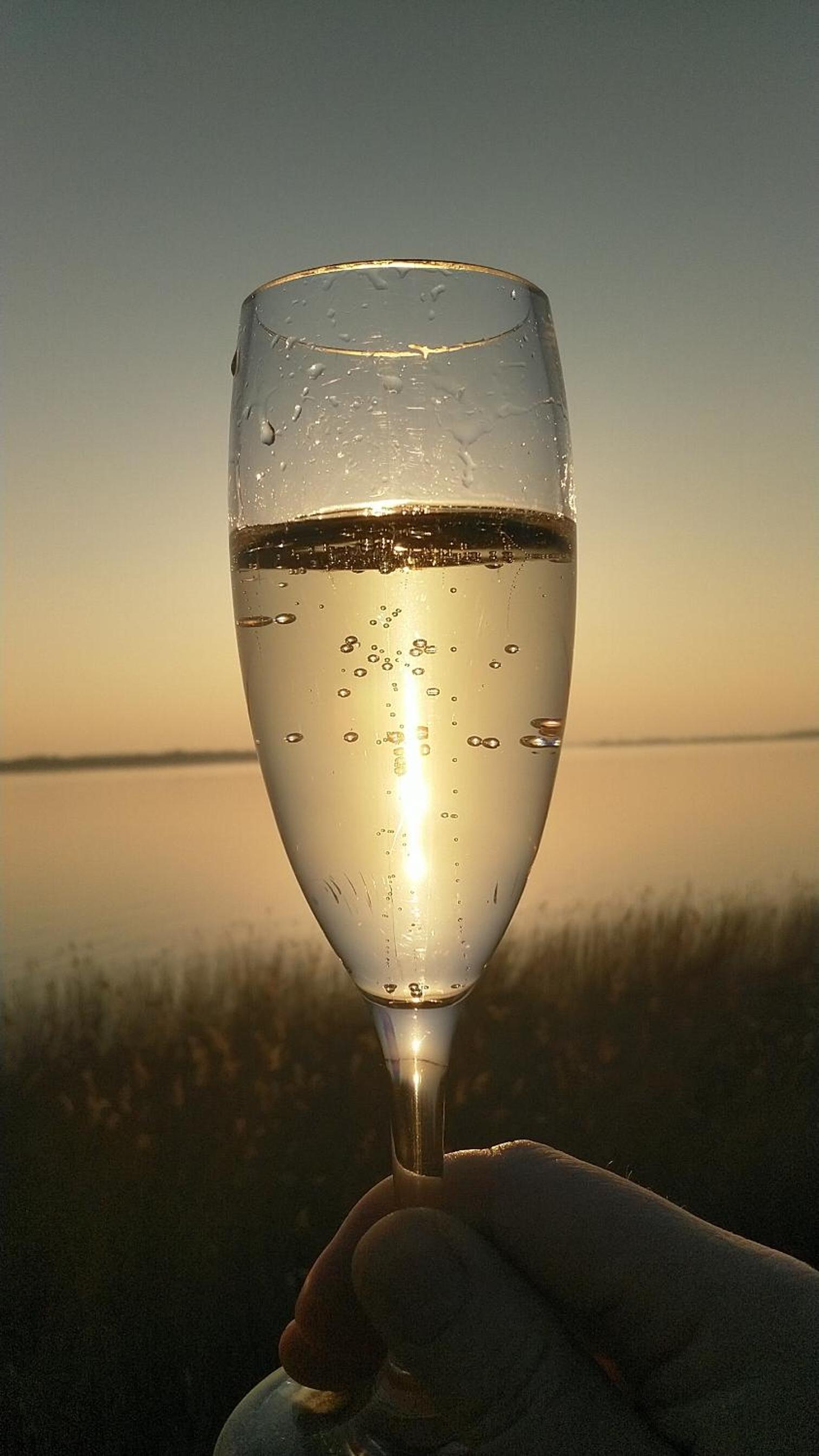 Ostsee Flair & Natur Idyll auf Rügen