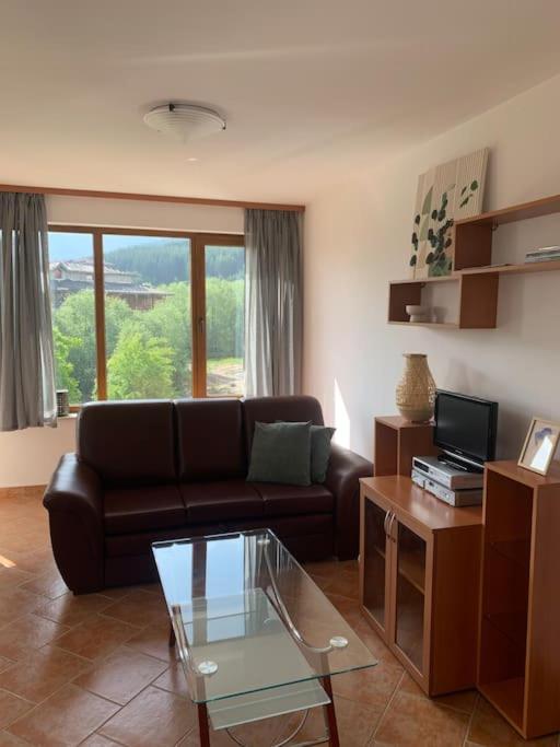 Mountain View Apartment with Balcony & Ski Access nearby - Serendipity