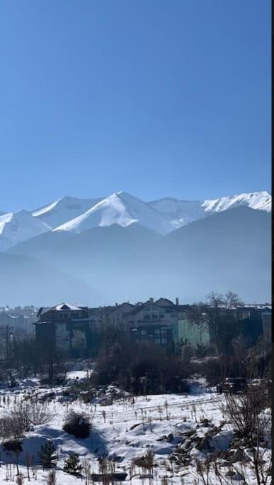 Mountain View Apartment with Balcony & Ski Access nearby - Serendipity