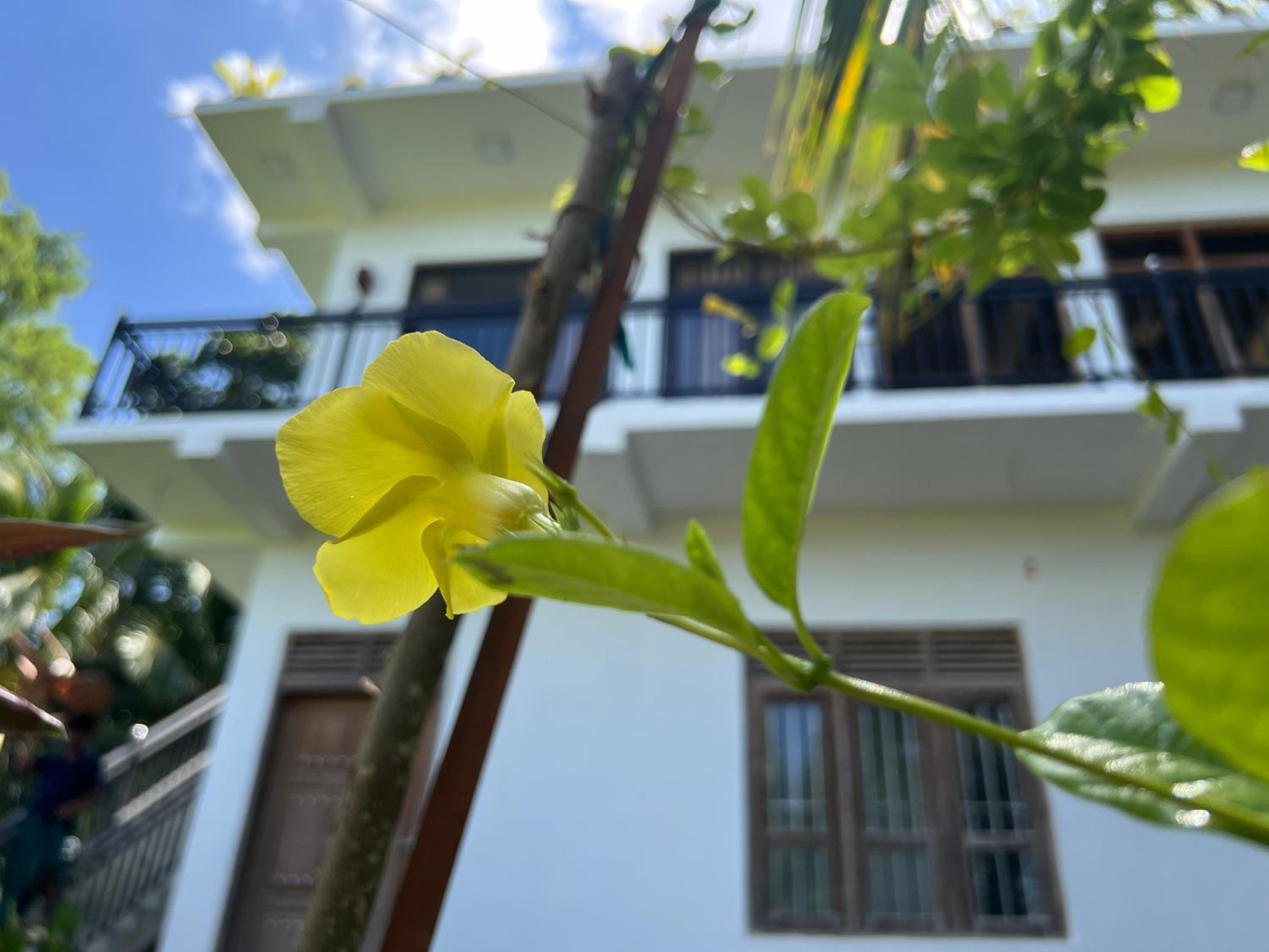Adithya Seaview Villa - Tangalle