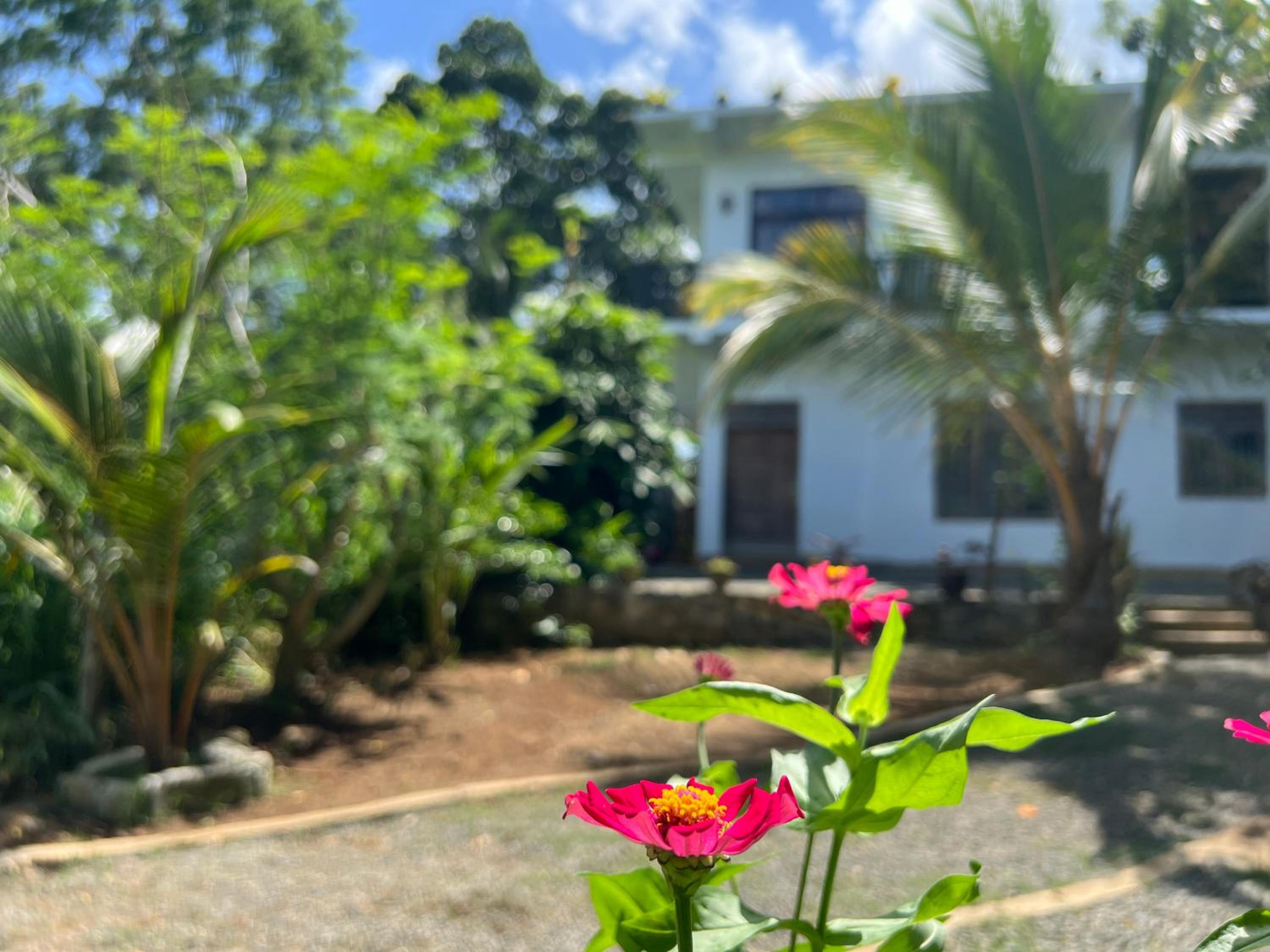 Adithya Seaview Villa - Tangalle