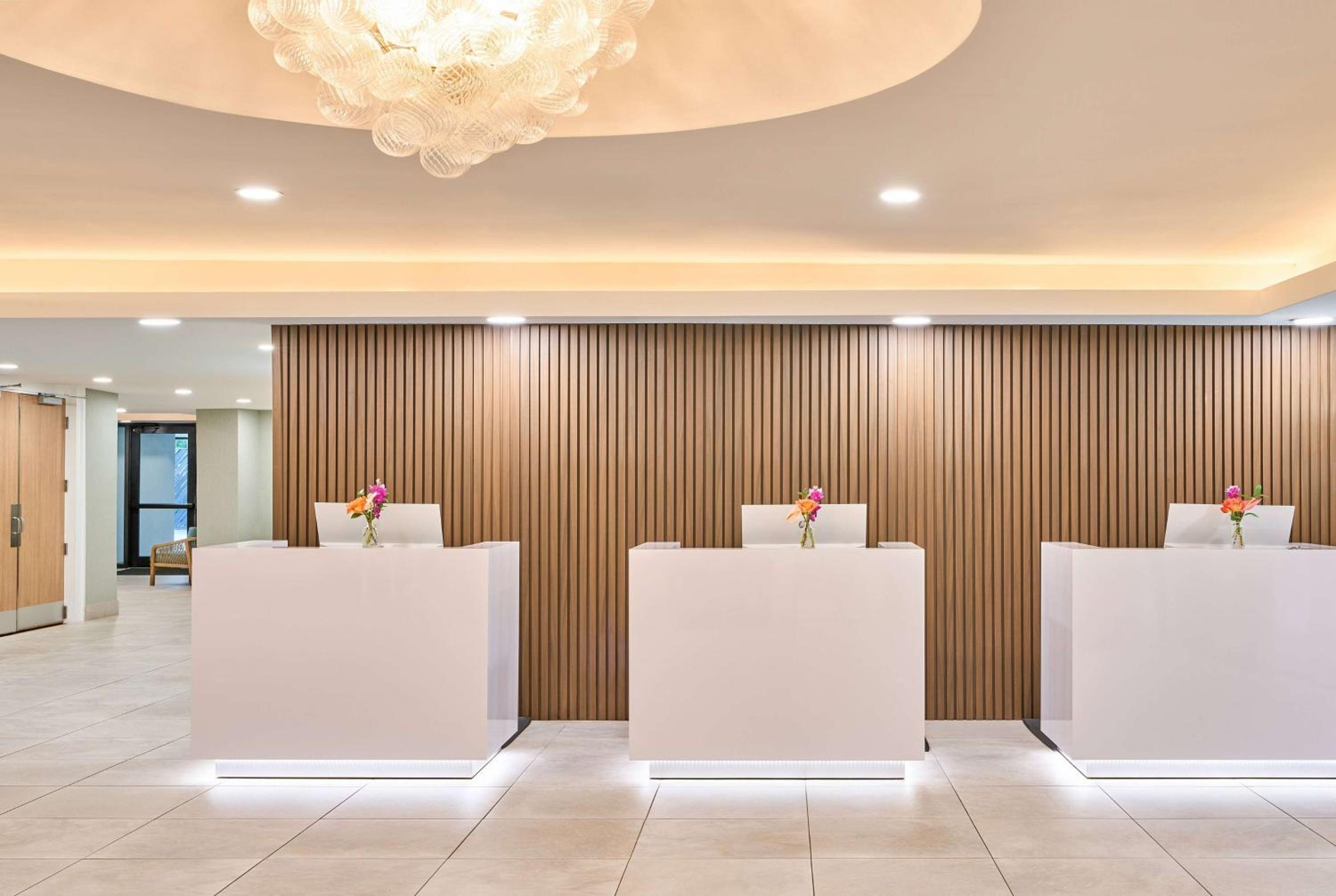 recepcion & lobby