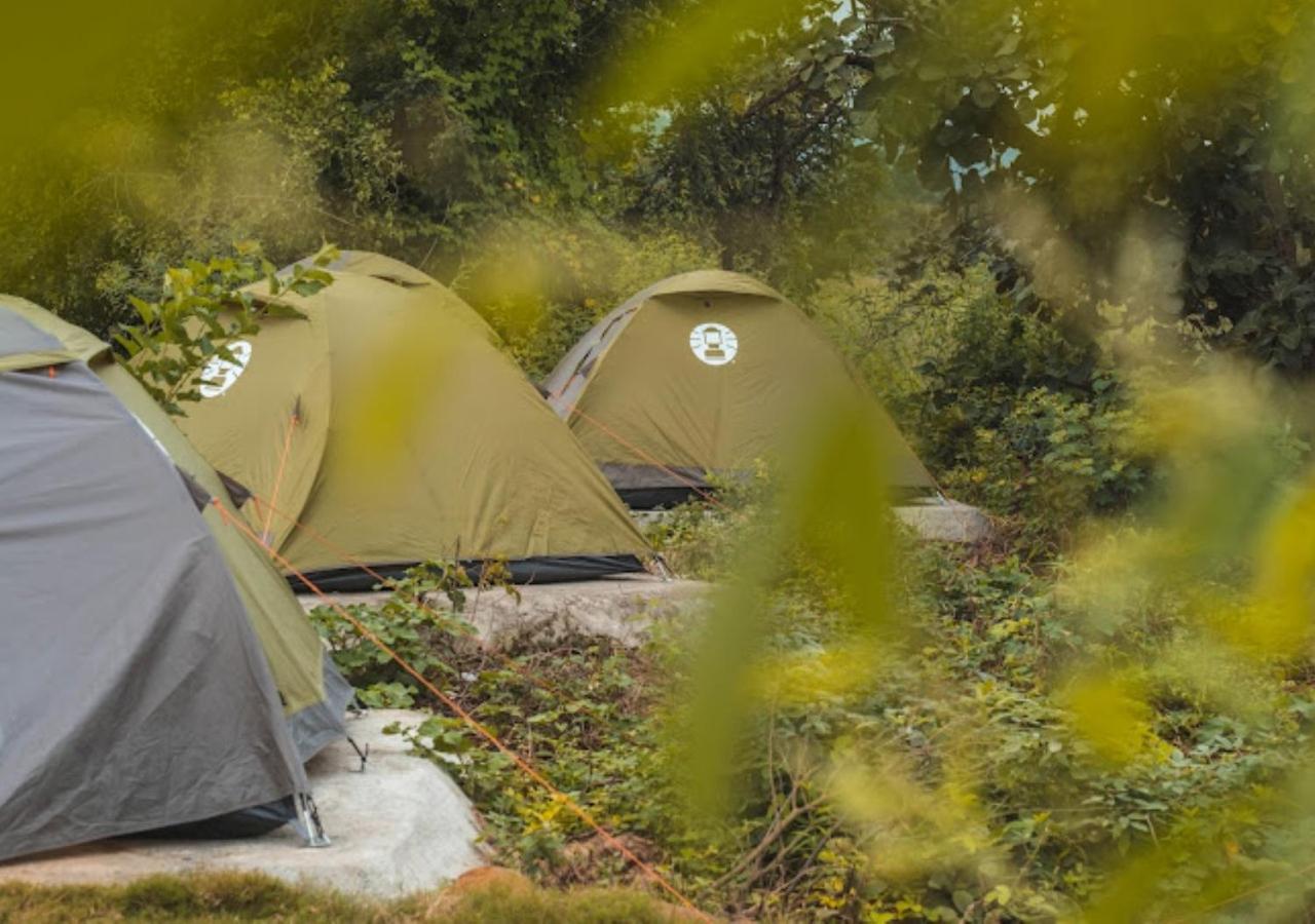 The Wilderness Campsite Telangana view 5