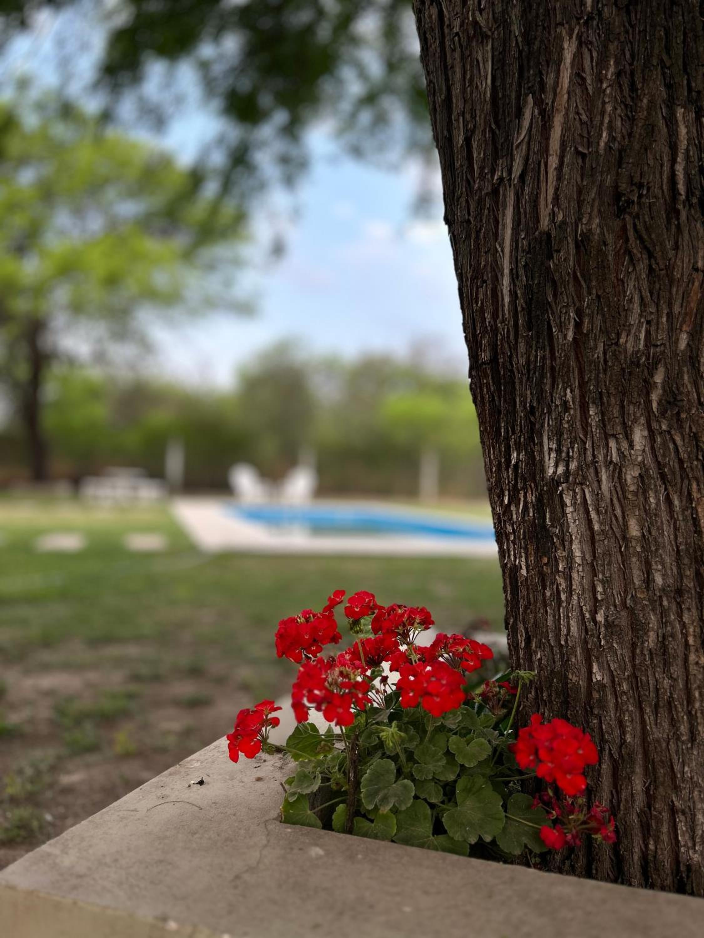 Bonita Casa para 4 en Maco