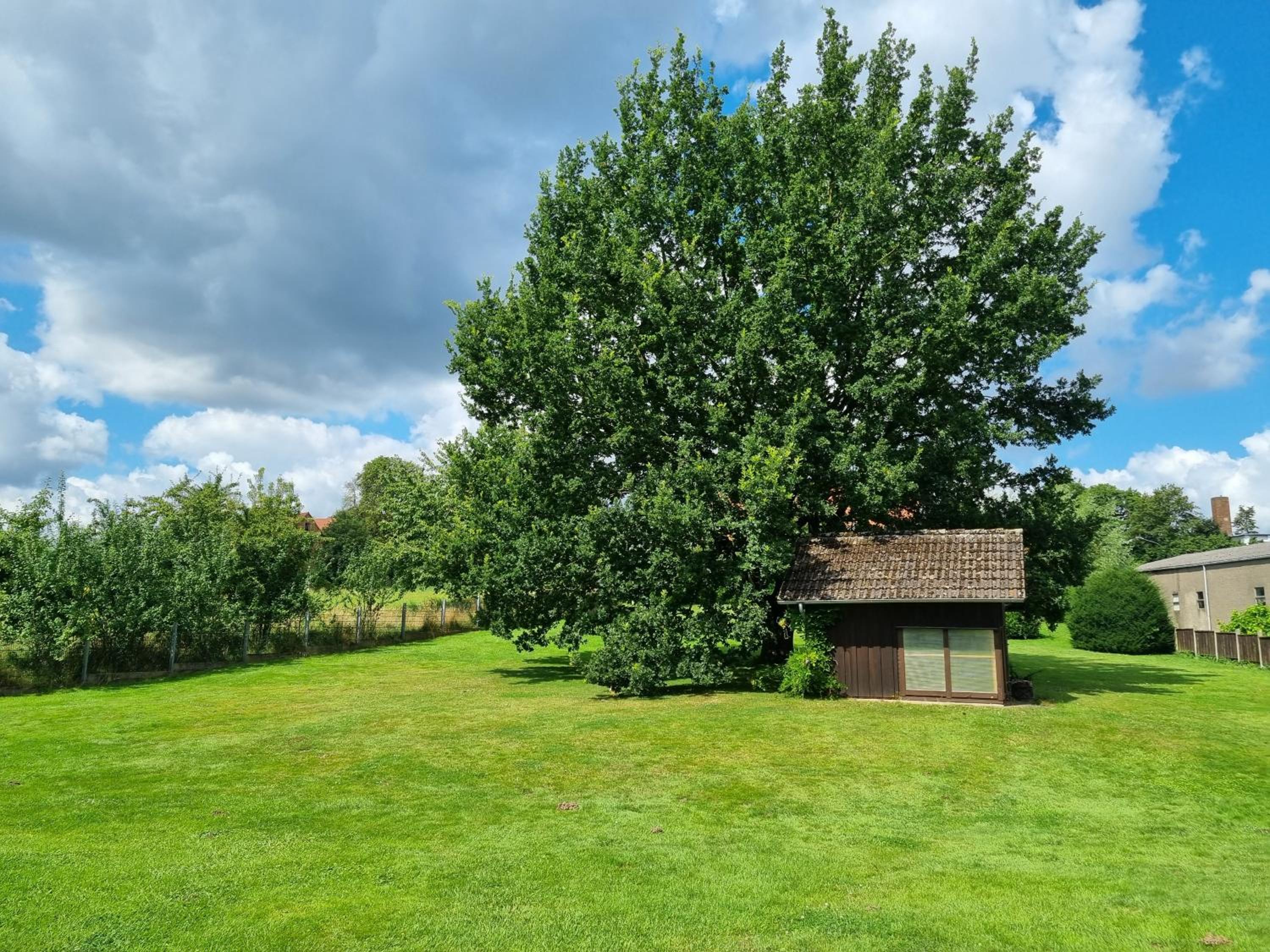Ferienhaus Eggetal