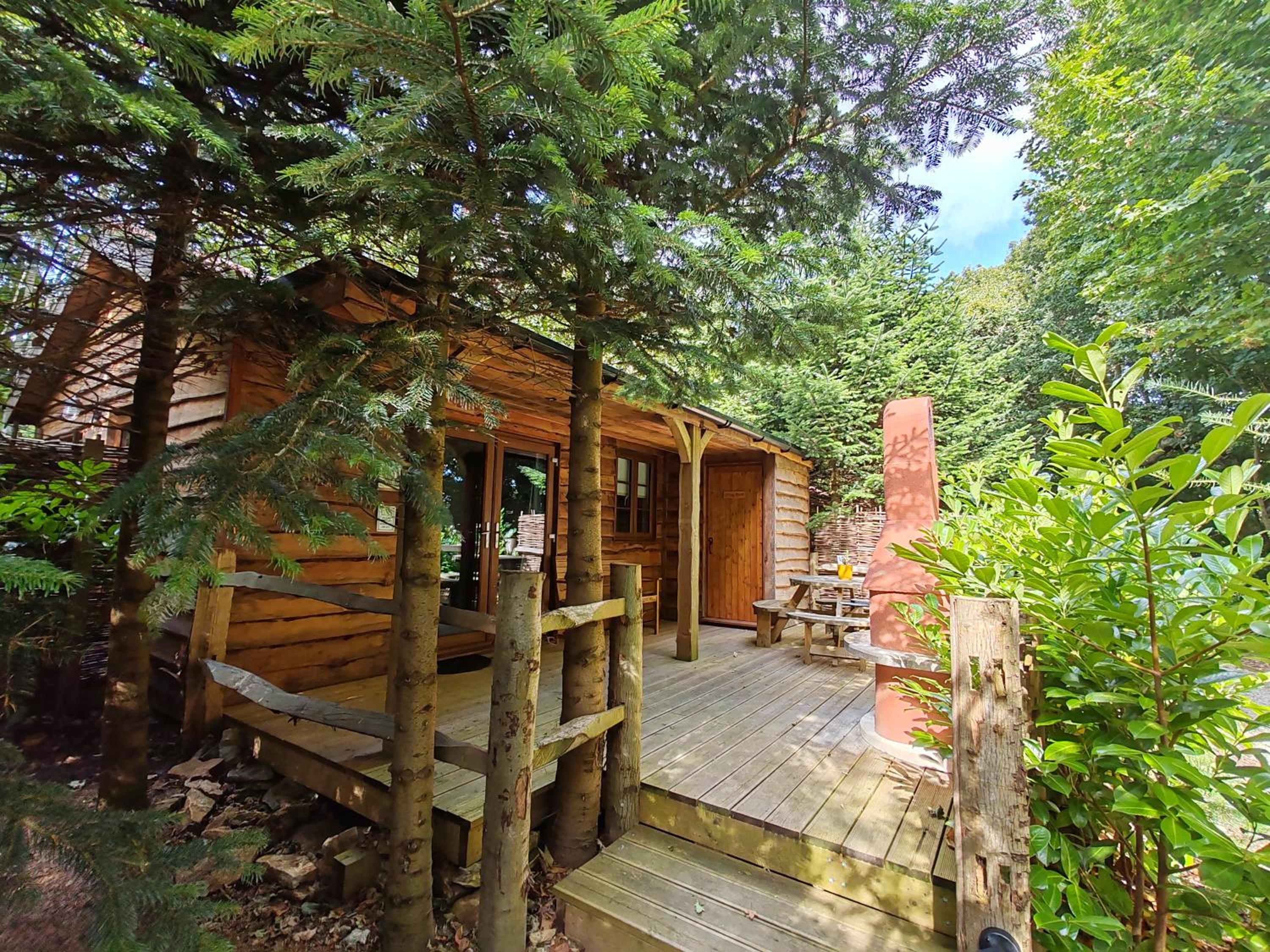 Hayne Barn Estate 6 Luxury Lodges with private hot-tubs AND 1 studio without hot-tub, photo 56