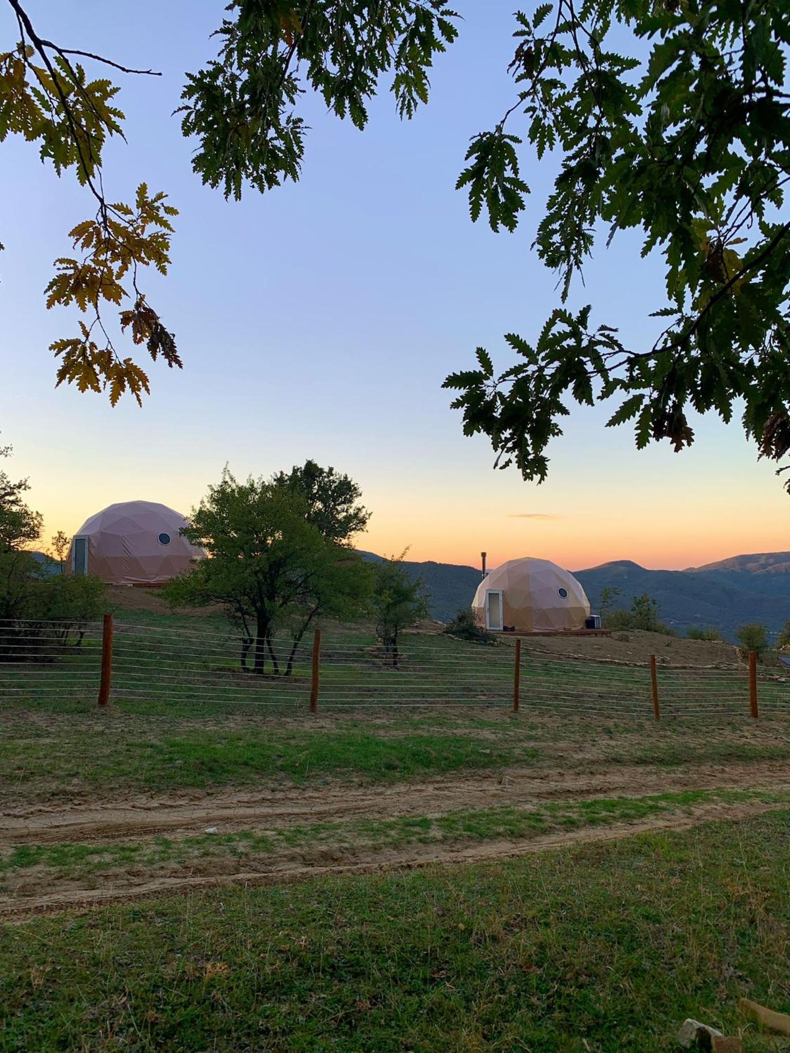 Aura - Glamping Experience