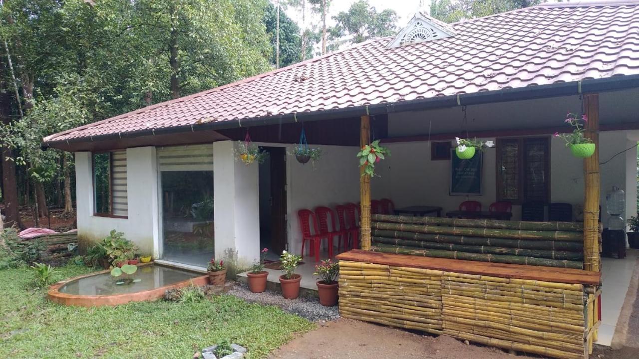 PETERCOTTAGE HOMESTAY