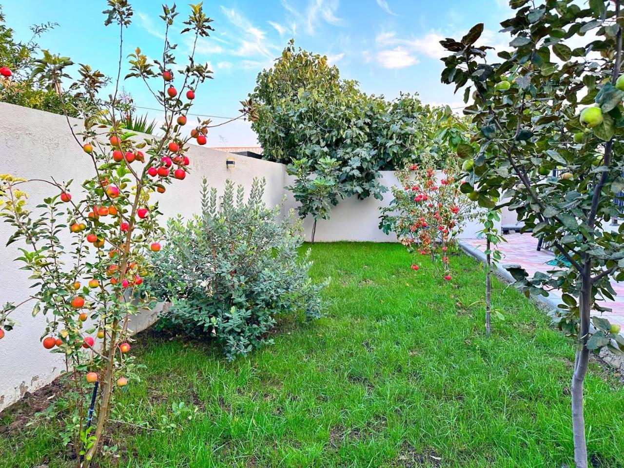 Villa with Pool in Mardakan, Baku villages area