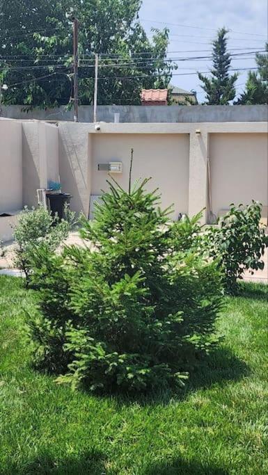 Villa with Pool in Mardakan, Baku villages area