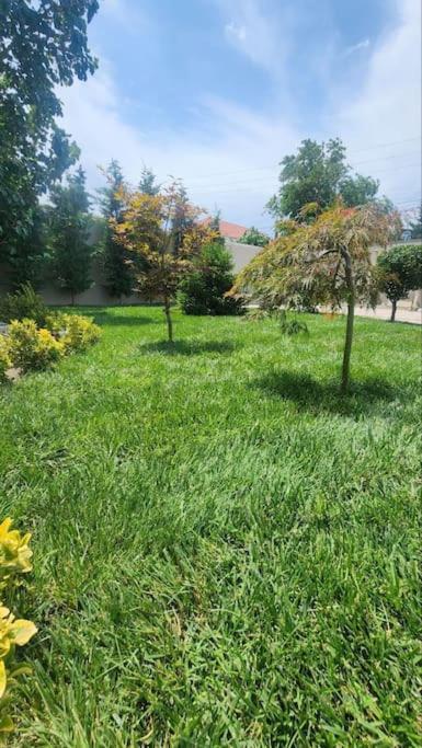 Villa with Pool in Mardakan, Baku villages area