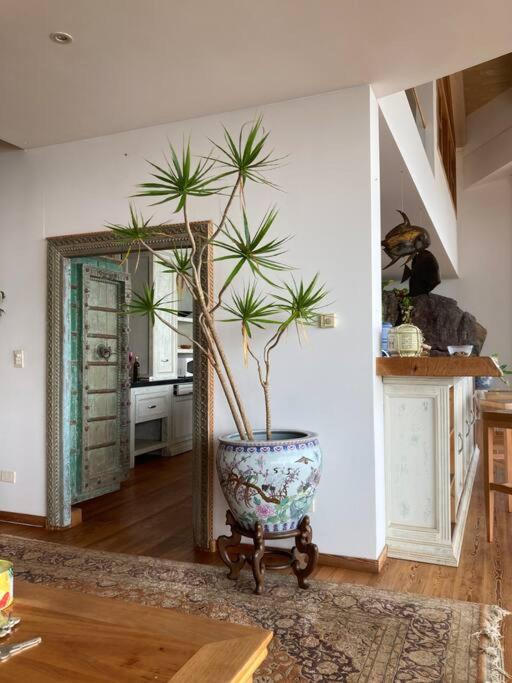 Canal Om Loft