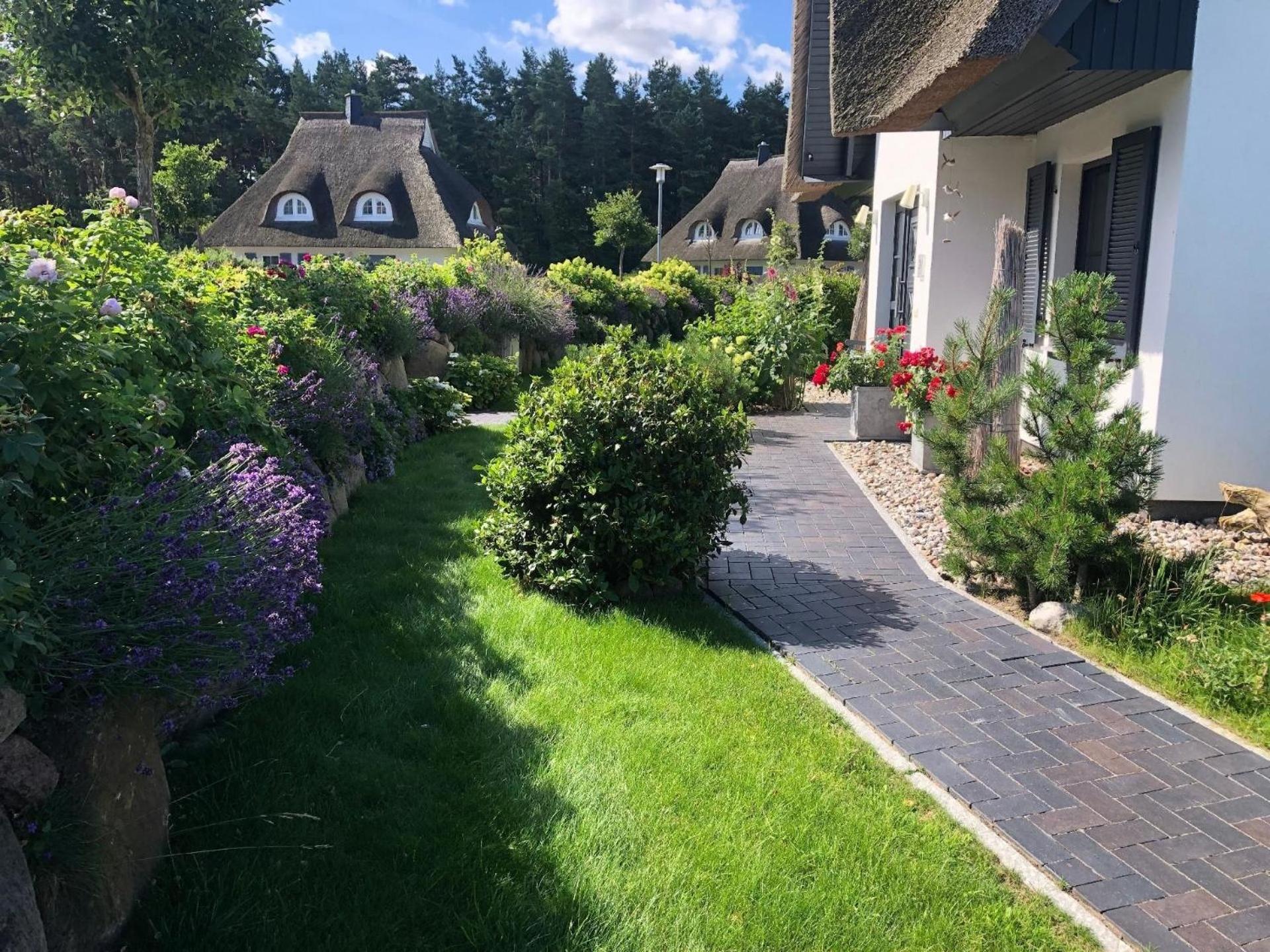 Seeschwalbe Helga
