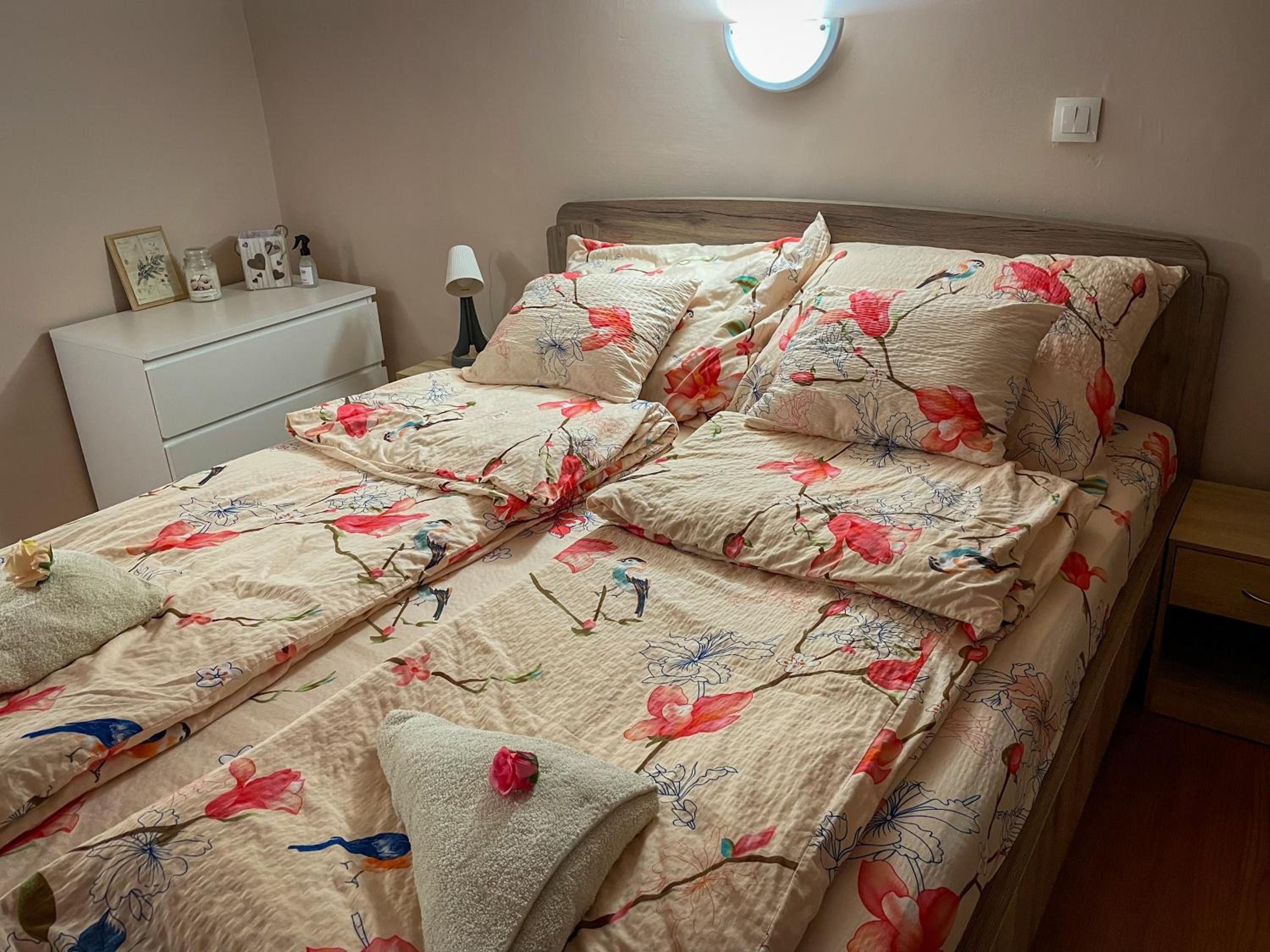 Budapest Bloom Apartman view 4