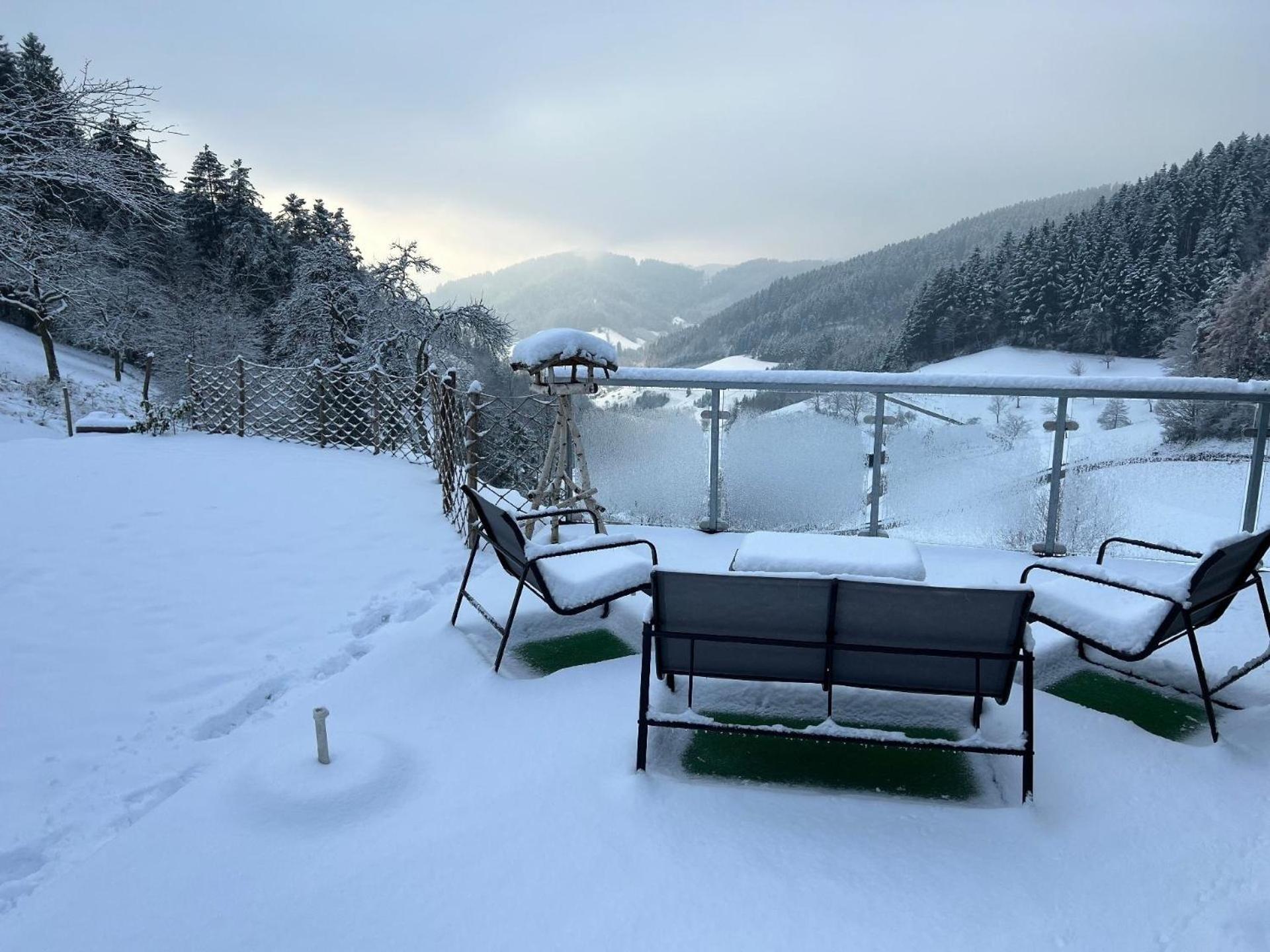 Haus Mit Whirlpool, Sauna Und Schwarzwaldblick