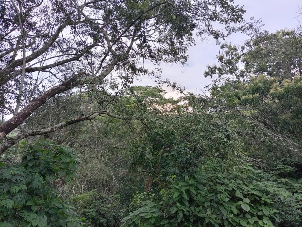 Photo 27