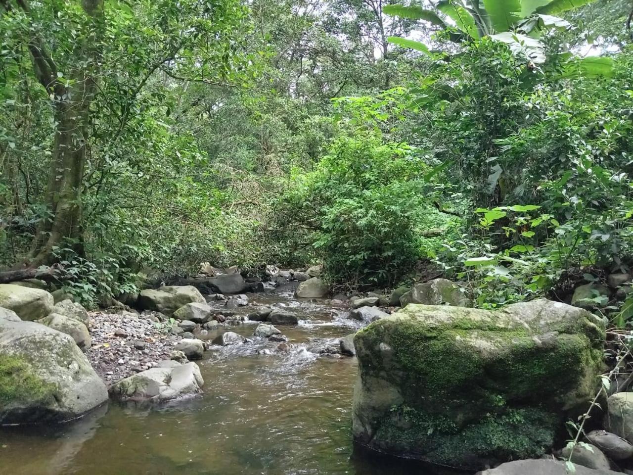 Photo 31