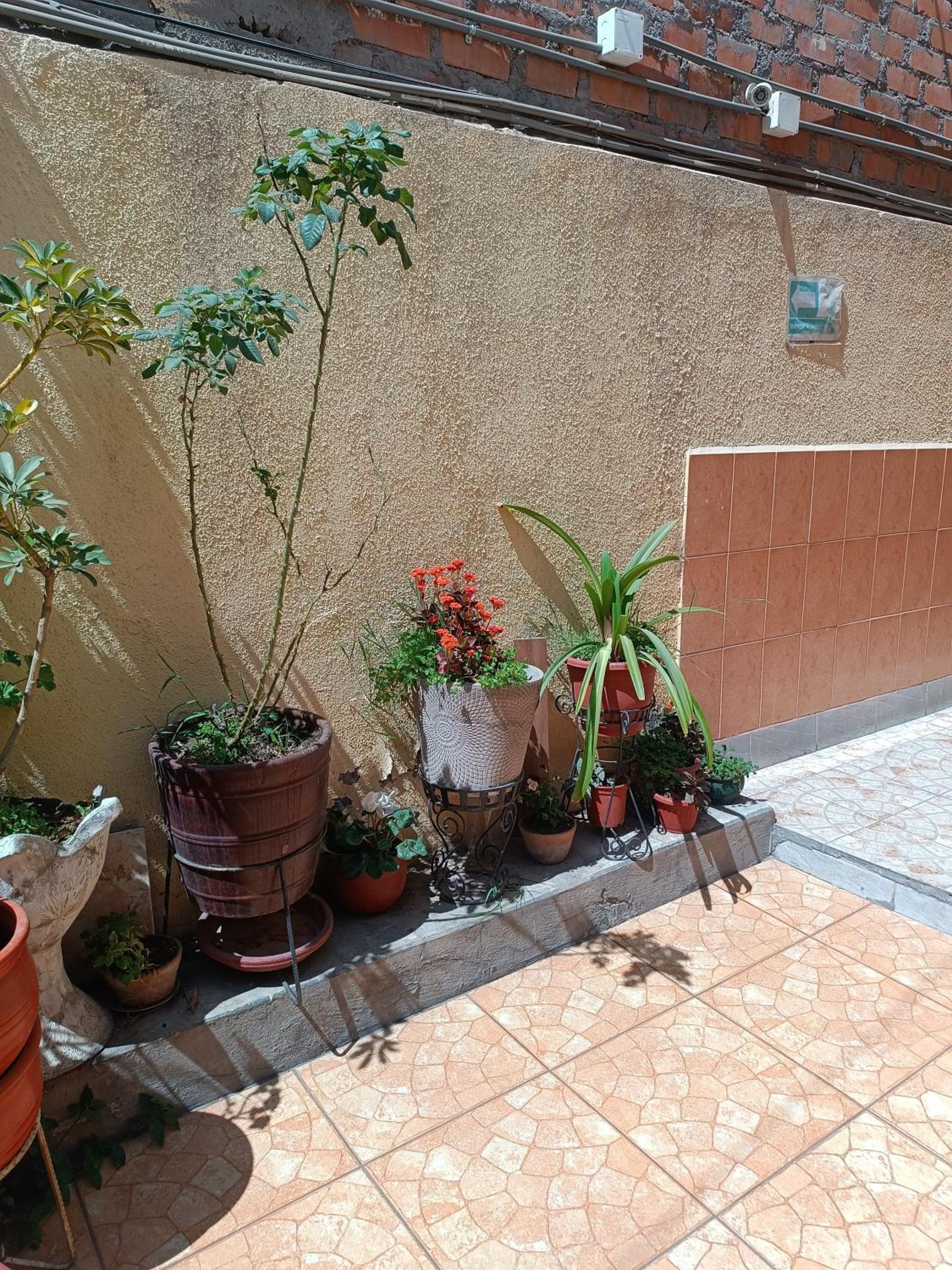 Samay Misti Hostal view 3