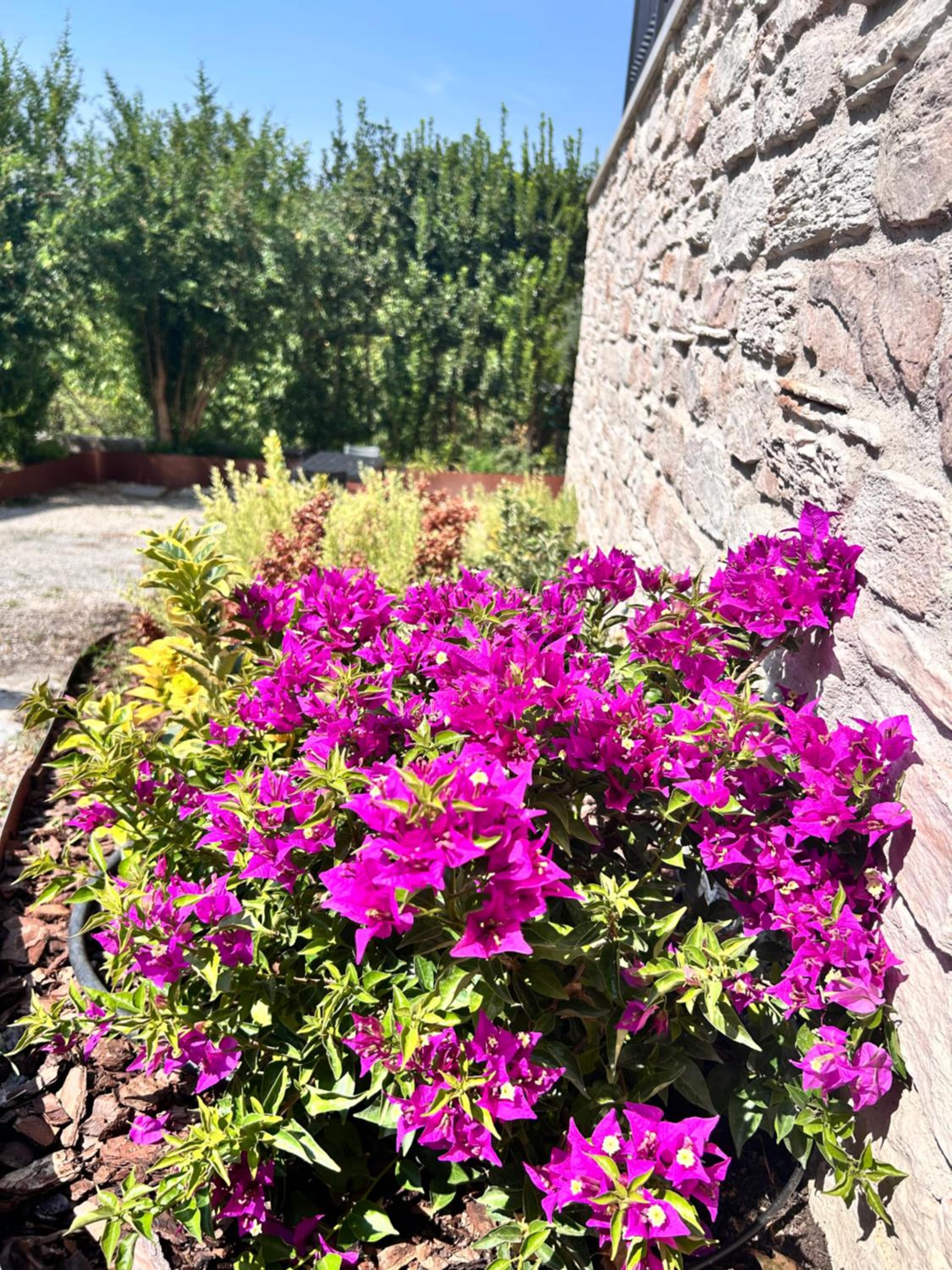 La Collina del Poeta view 5