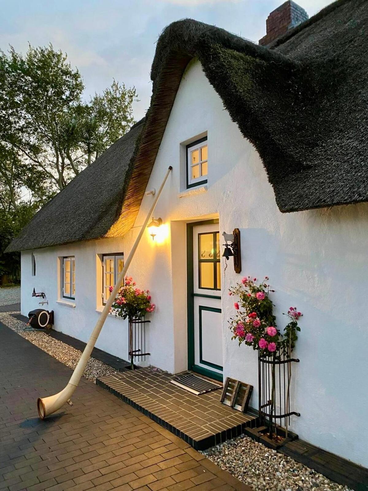 Reetdachhaus, Sauna, E-Bikes, 6 Personen