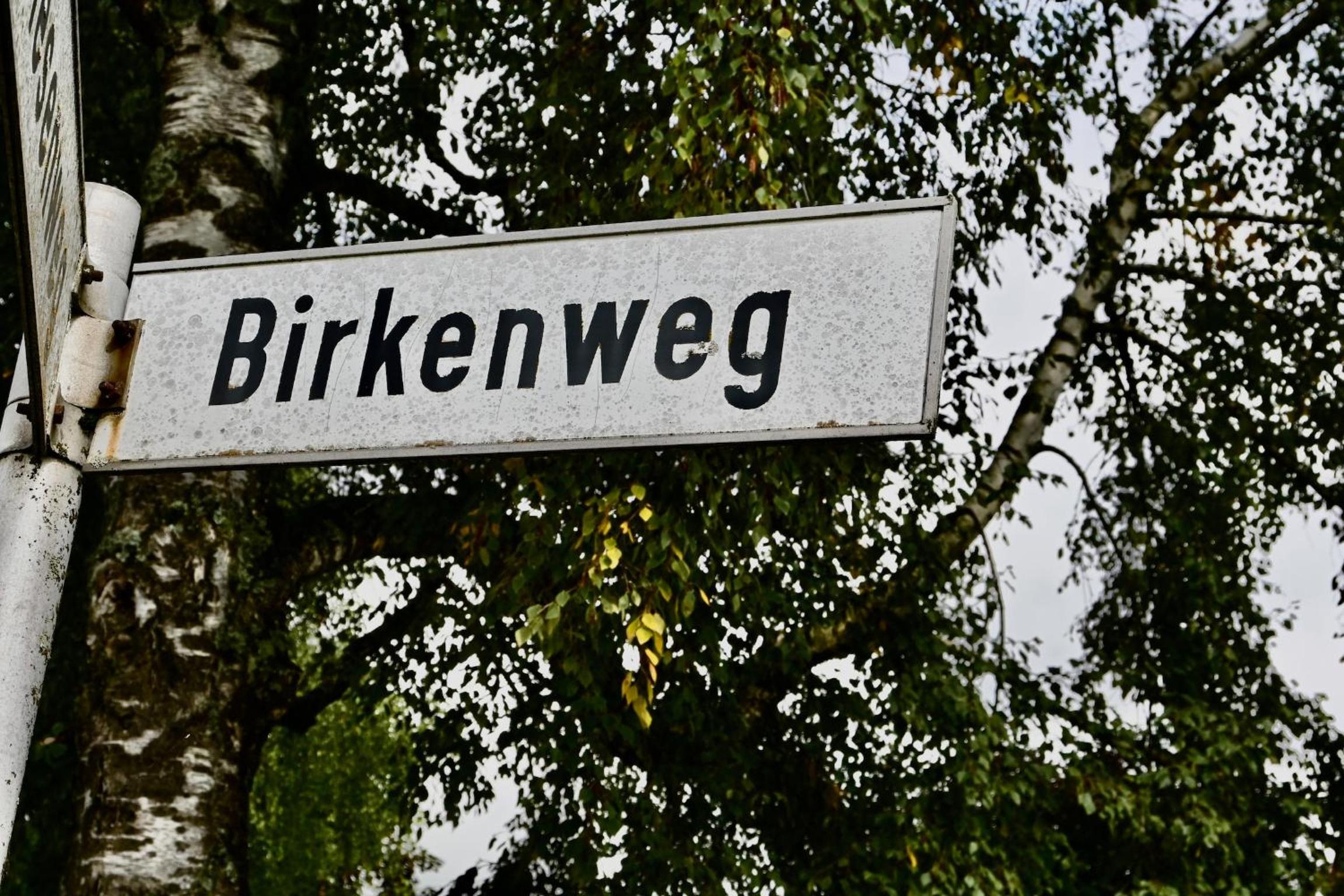 Bergnest Birkenweg