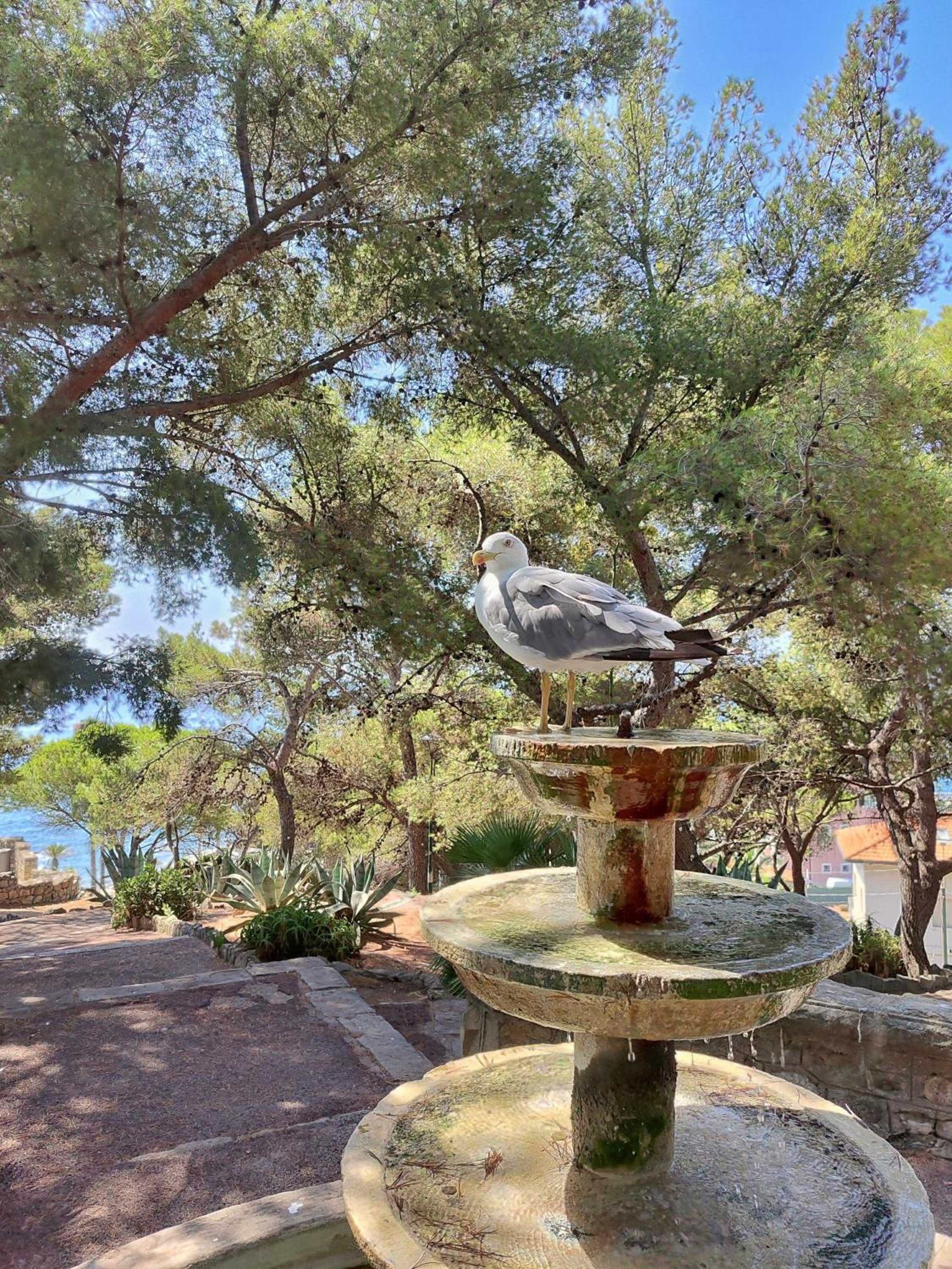 La Maddalena Room view 3
