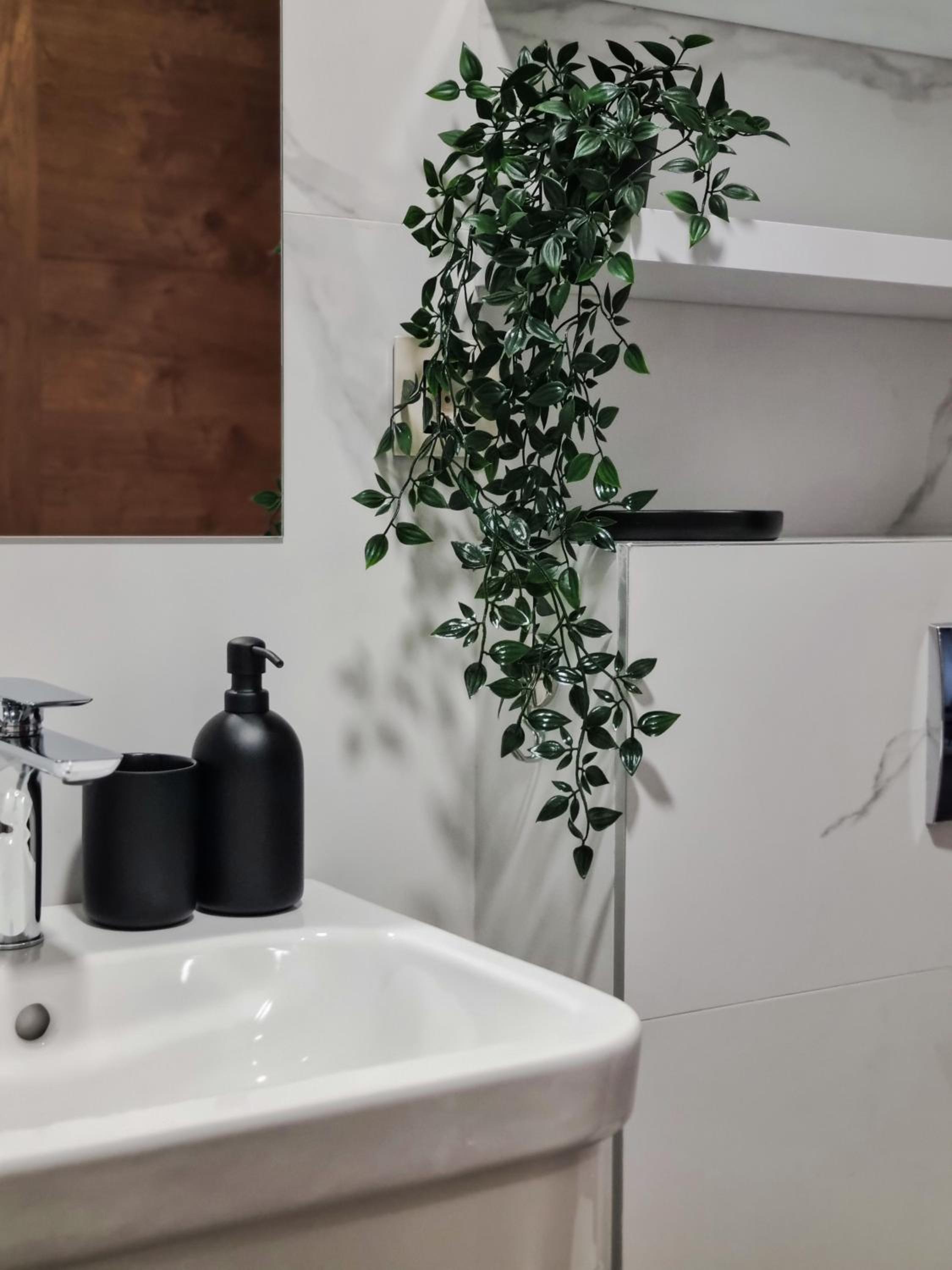Apartman Zlatna Noć - Kapije Zlatibora