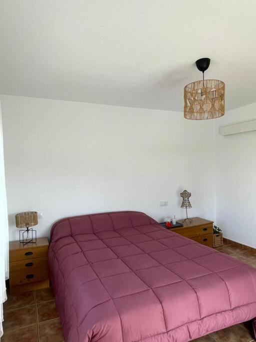 Apartamentos Rovi
