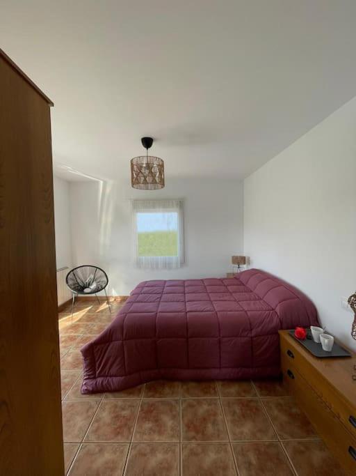 Apartamentos Rovi