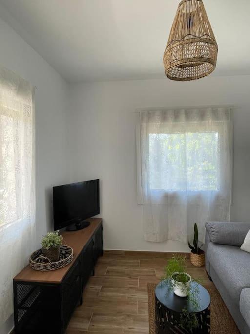 Apartamentos Rovi