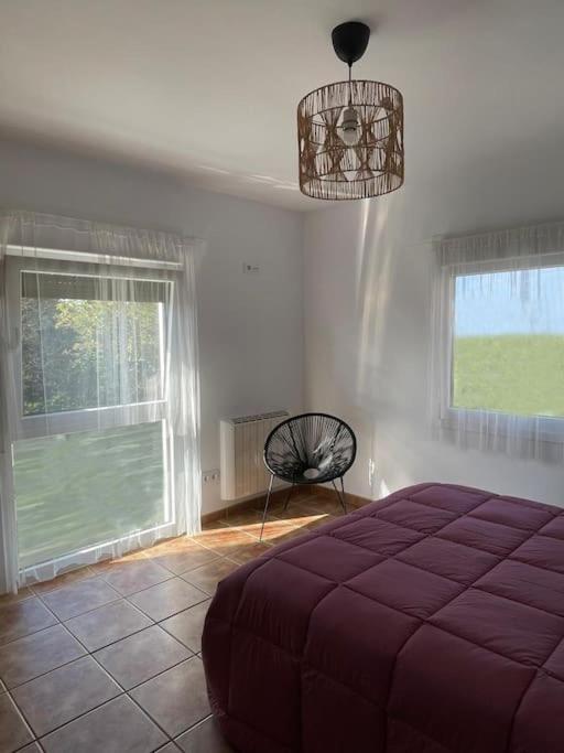 Apartamentos Rovi